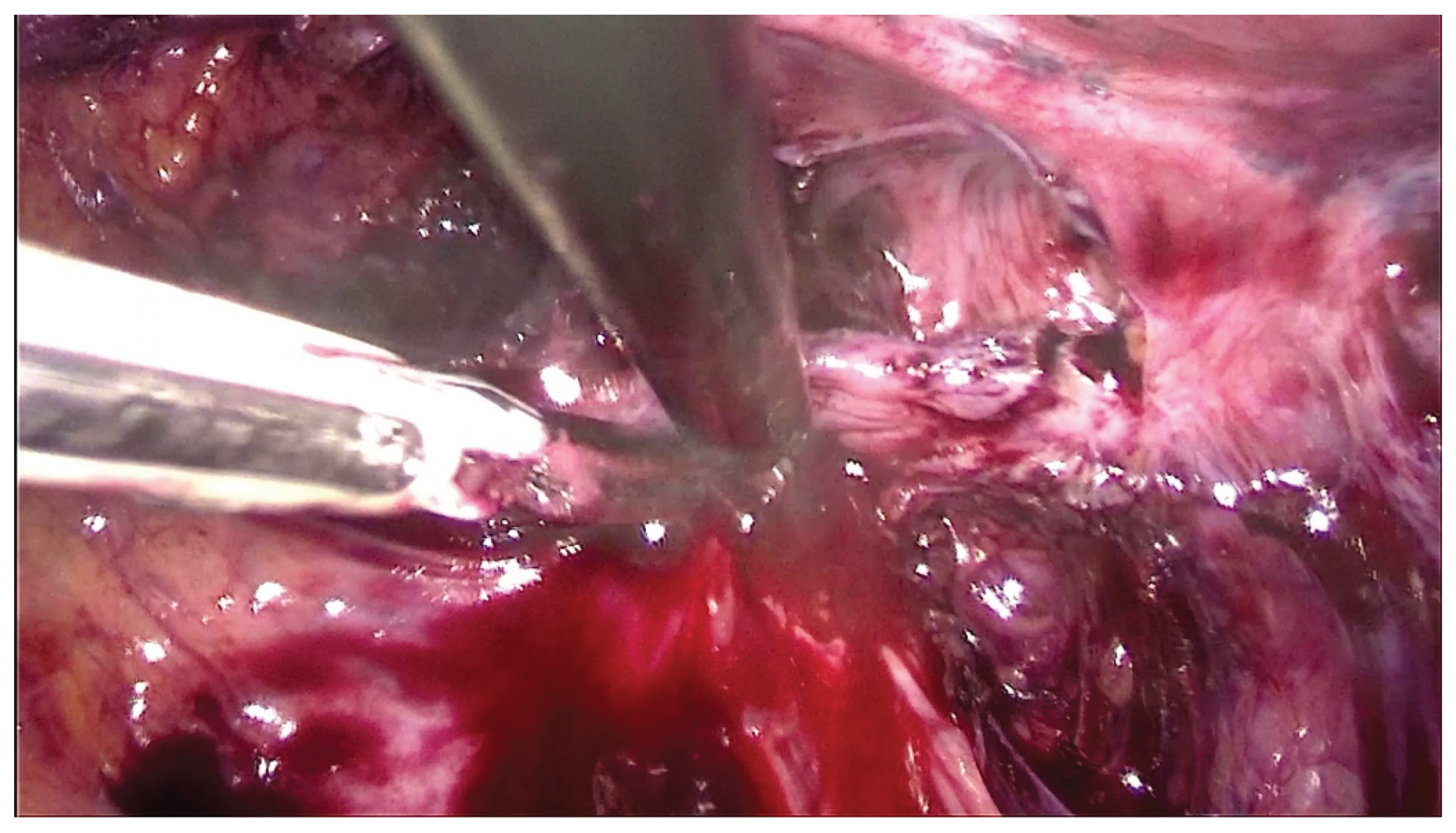 Preprints 209618 g002