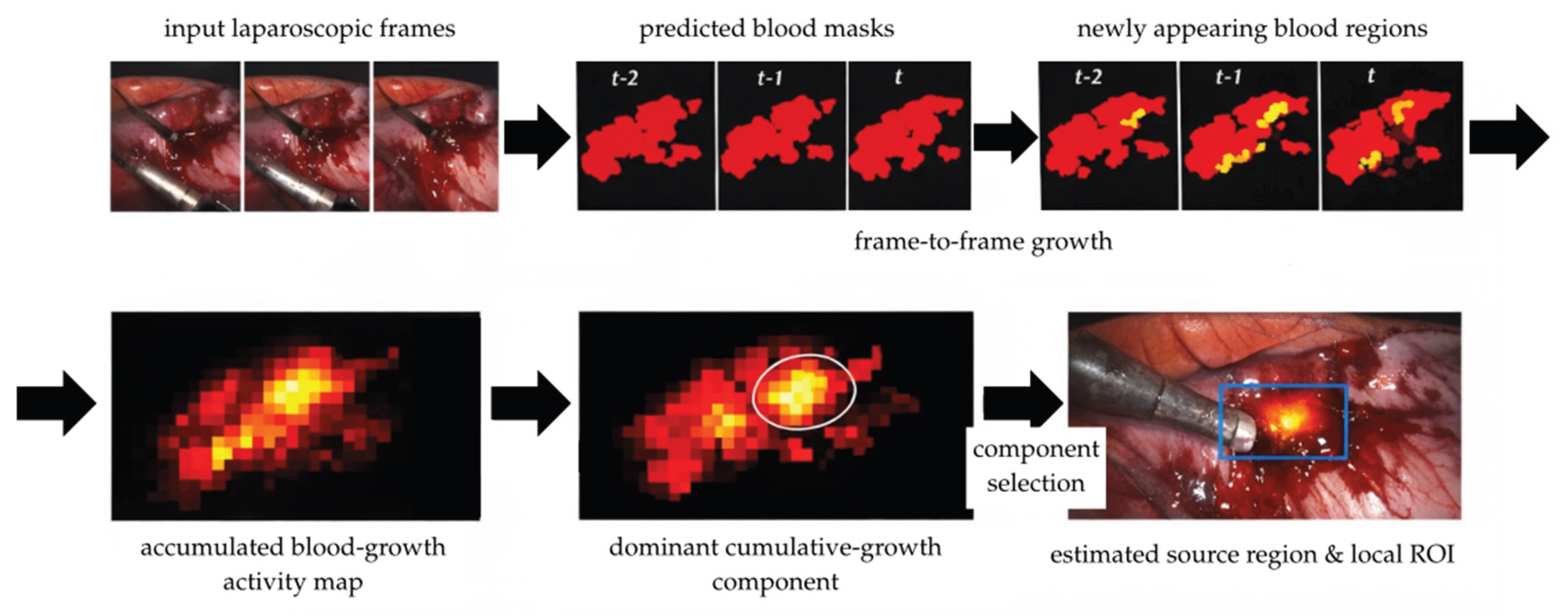 Preprints 209618 g003