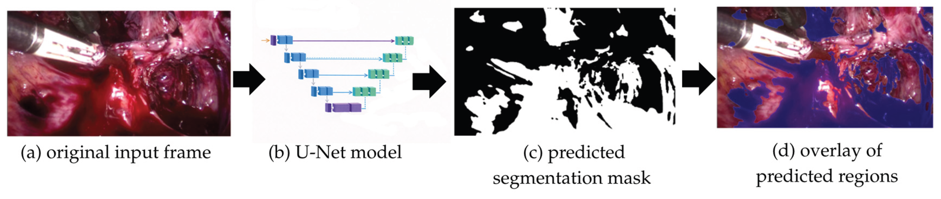Preprints 209618 g004