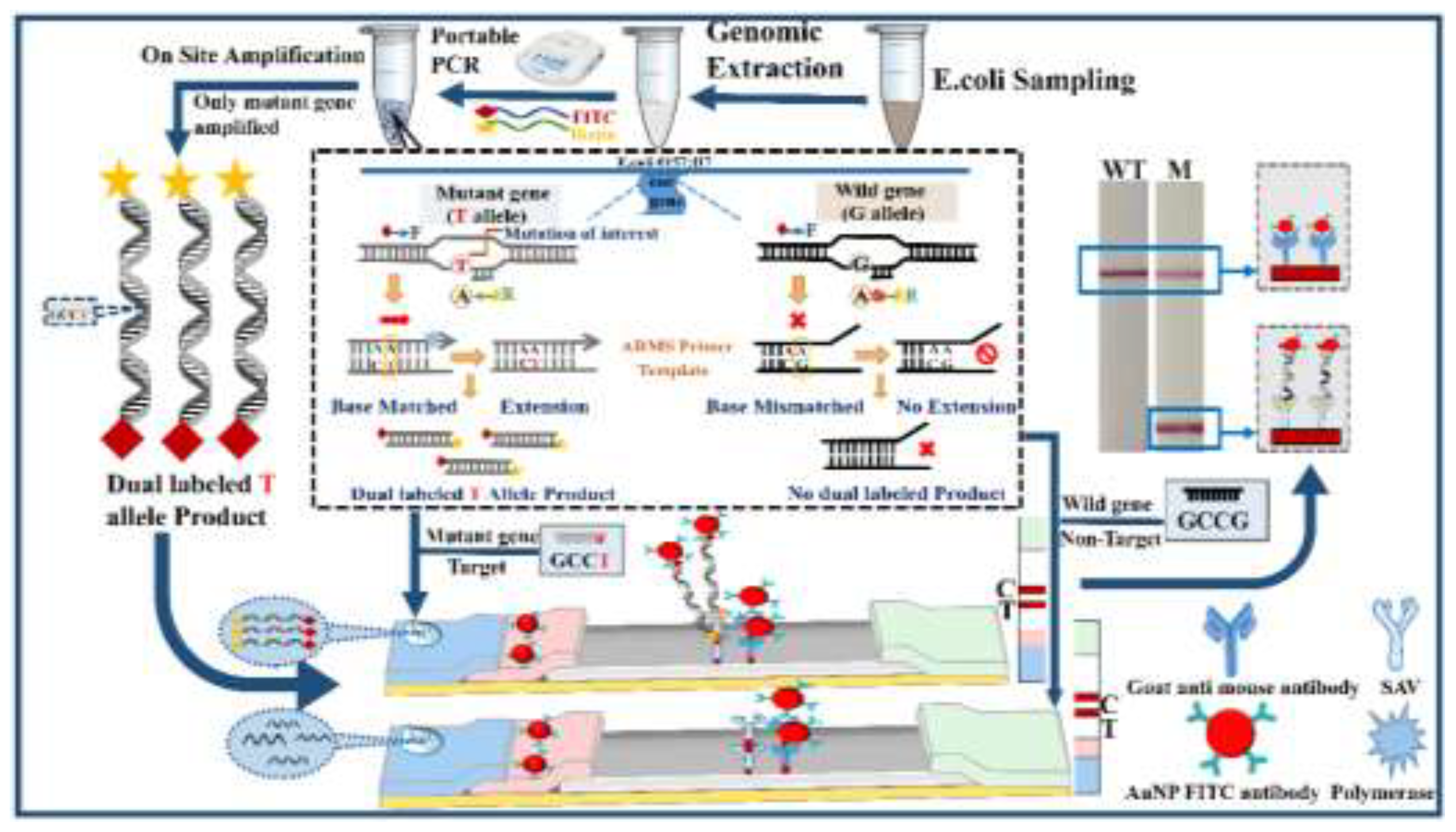 Preprints 191264 g001