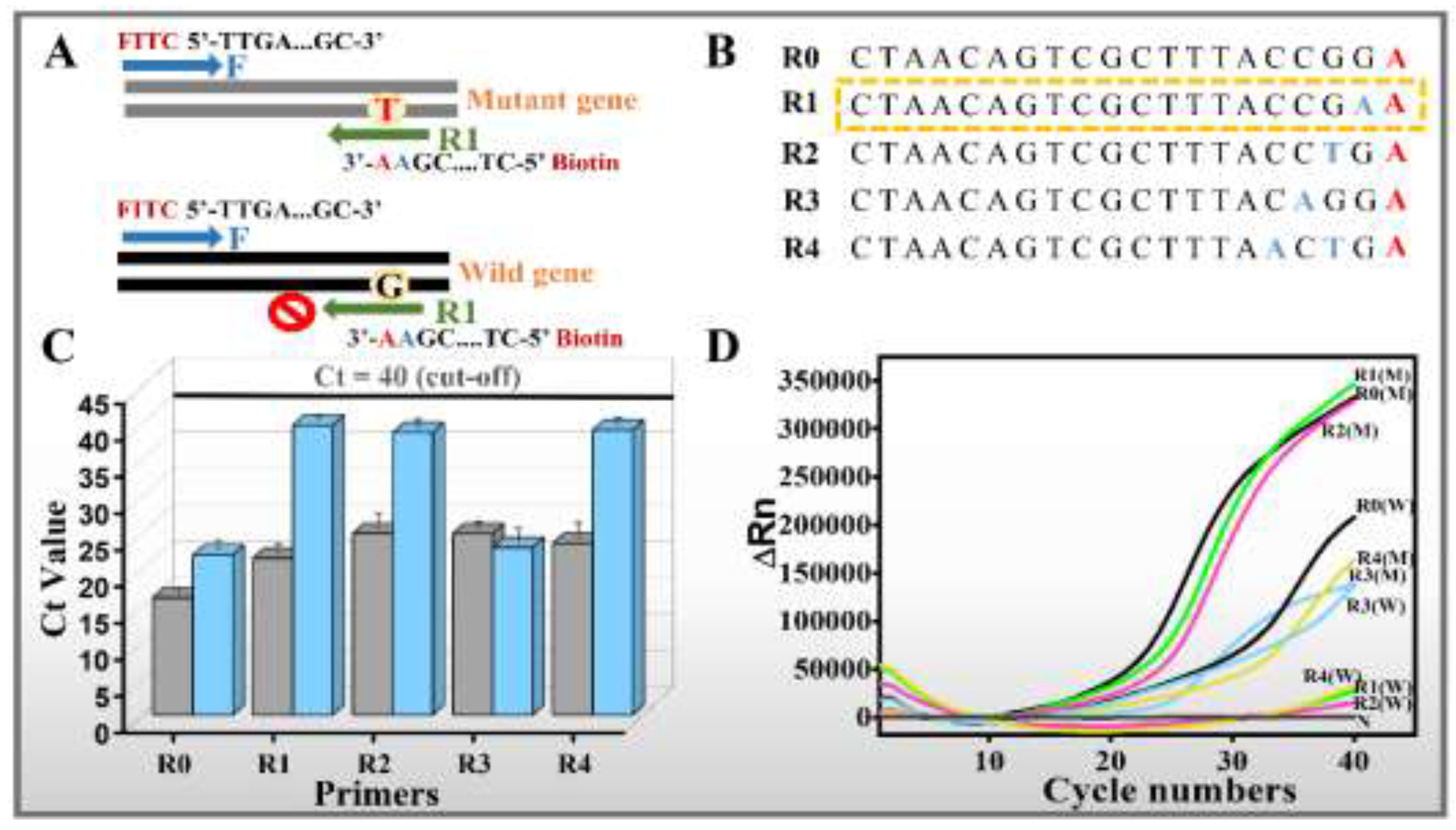 Preprints 191264 g002