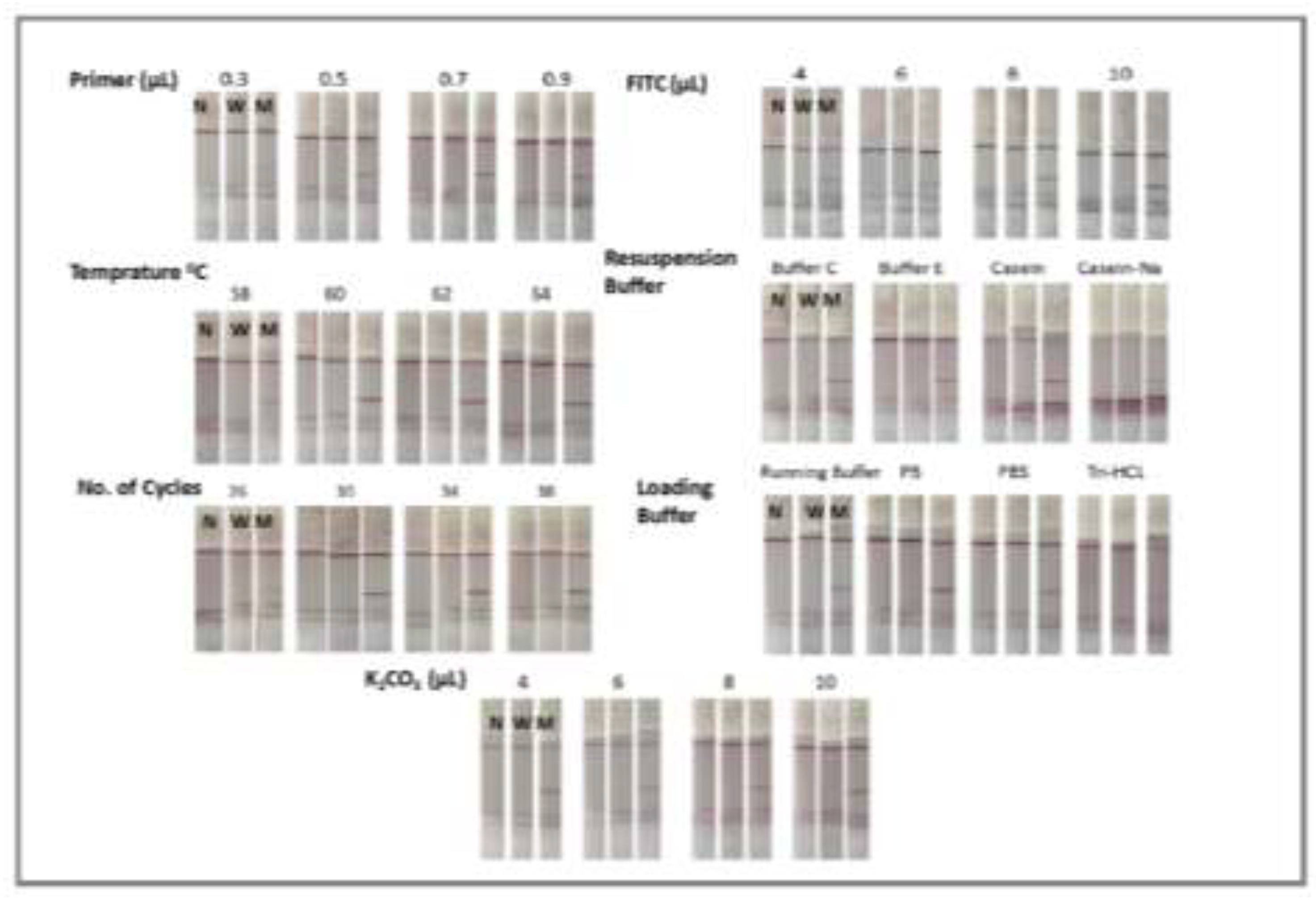 Preprints 191264 g0a1