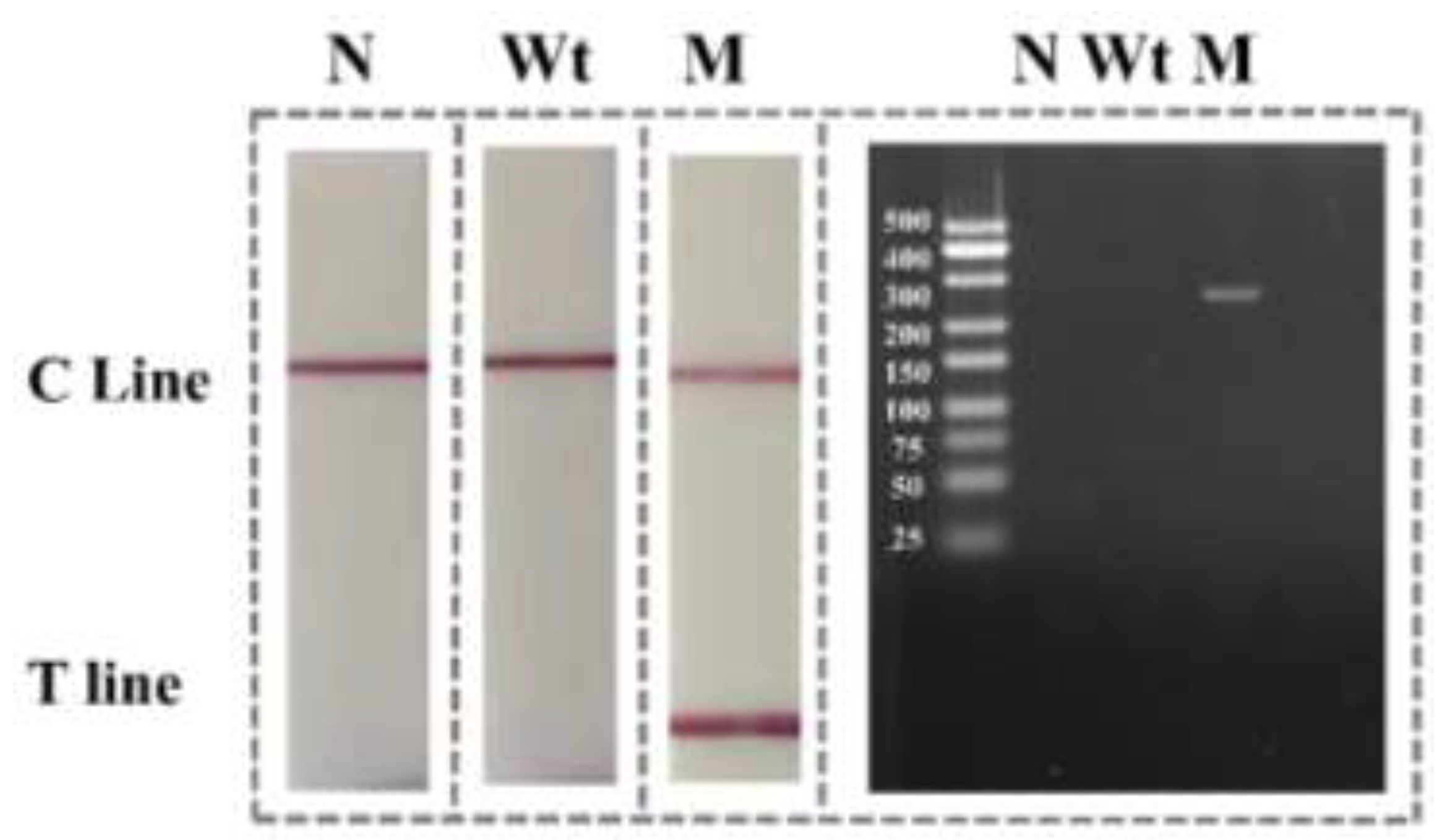 Preprints 191264 g0a2