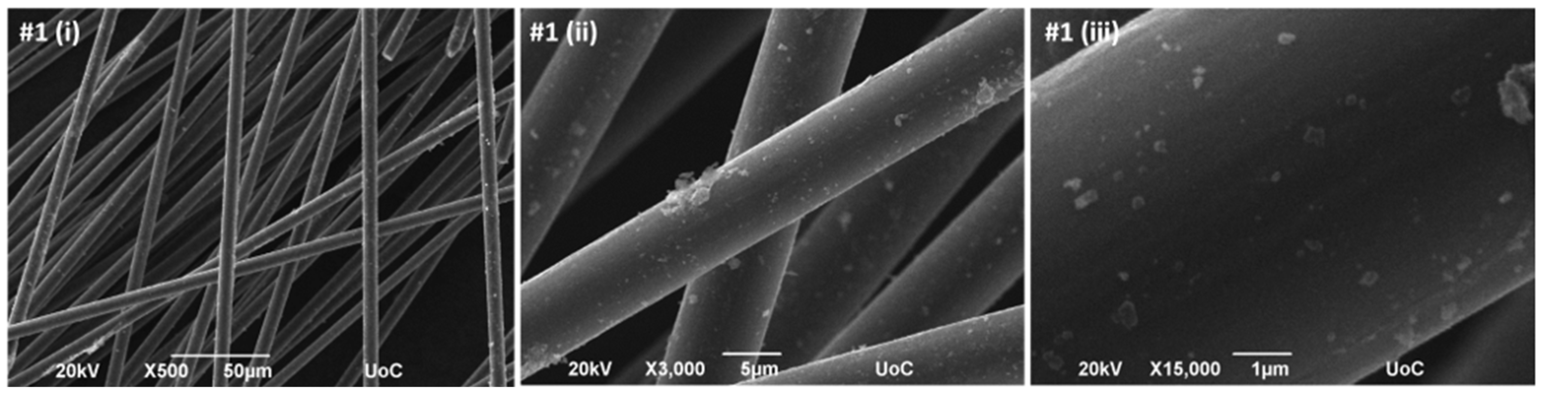 Preprints 188583 g003