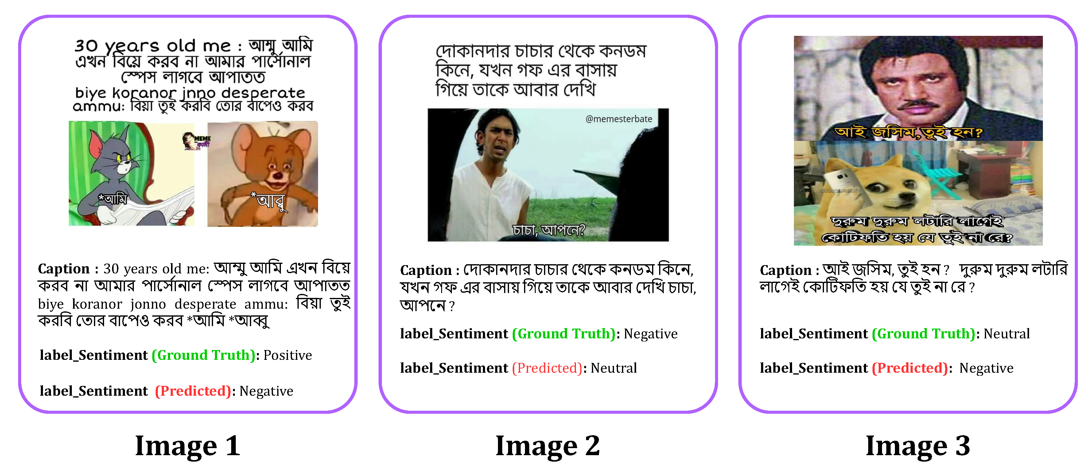 Preprints 146505 g007