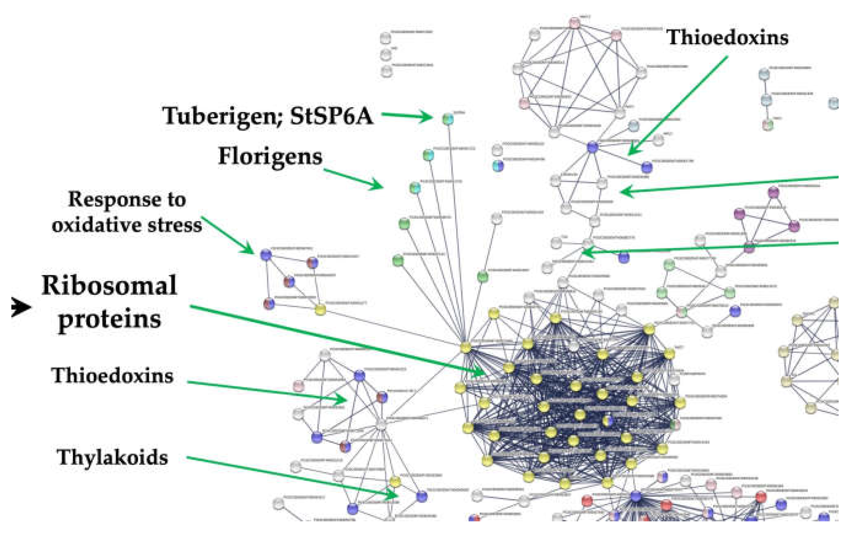 Preprints 76328 g003