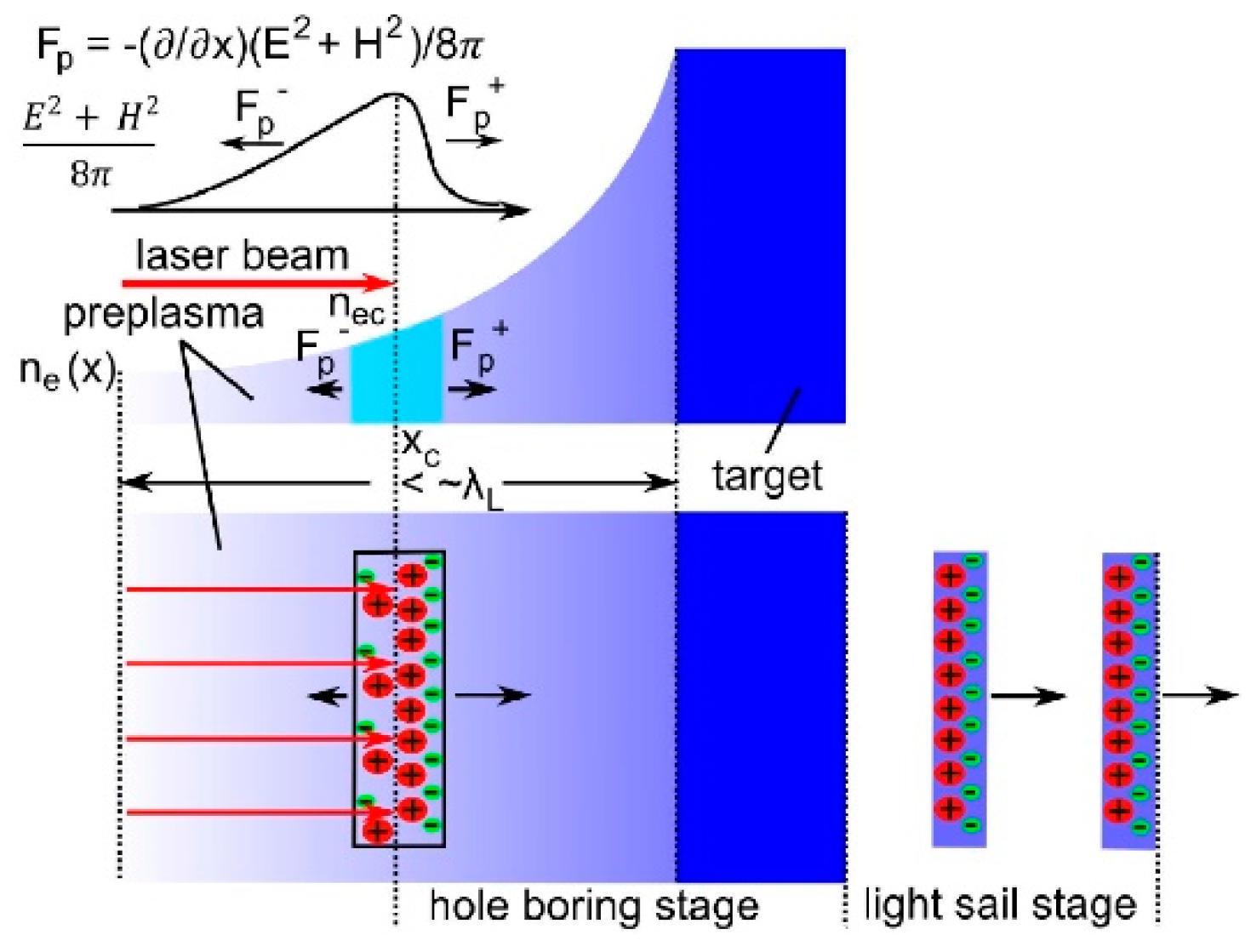 Preprints 146812 g001