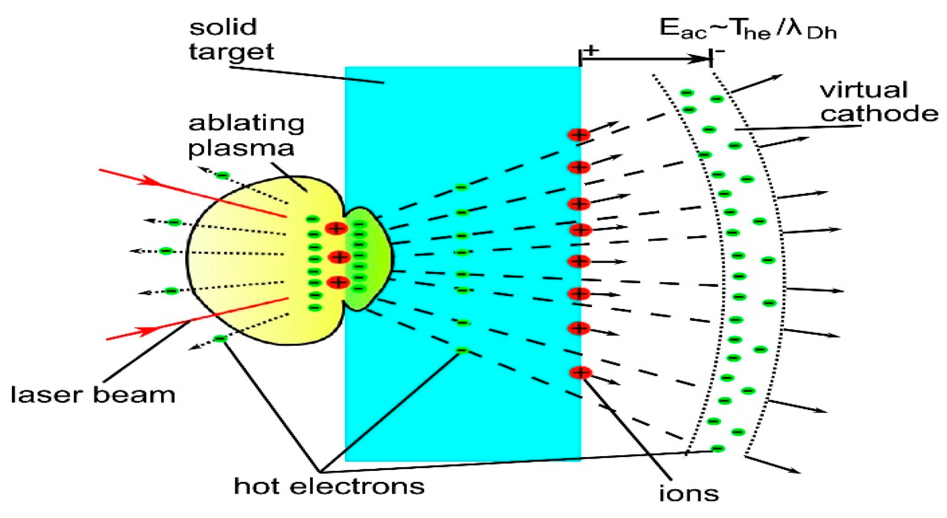 Preprints 146812 g002
