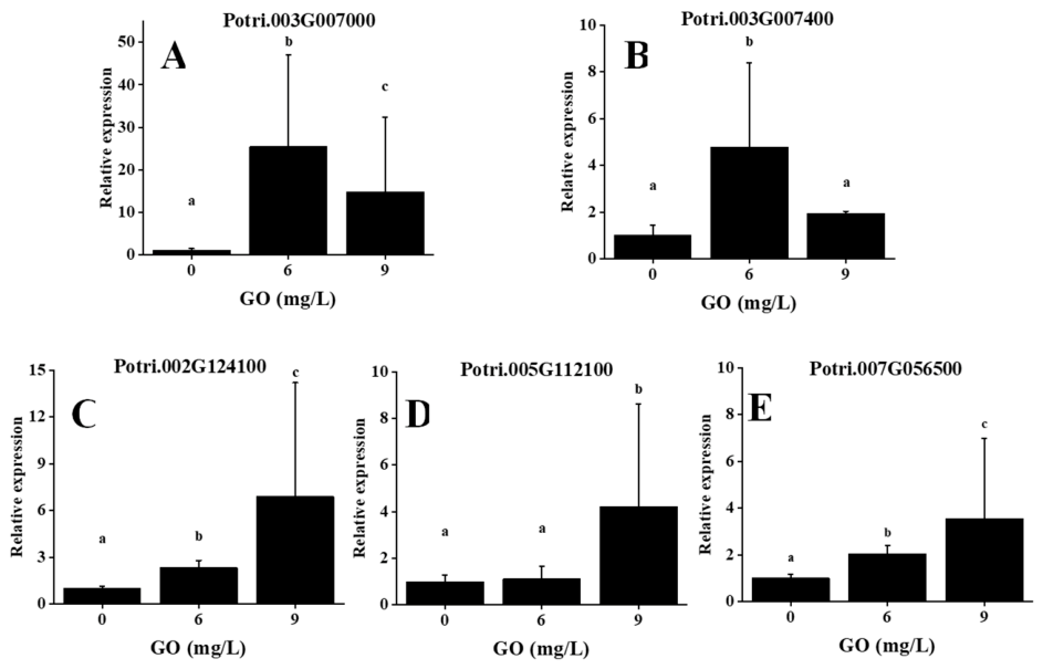 Preprints 234422 g006 Preprints 234422 g006