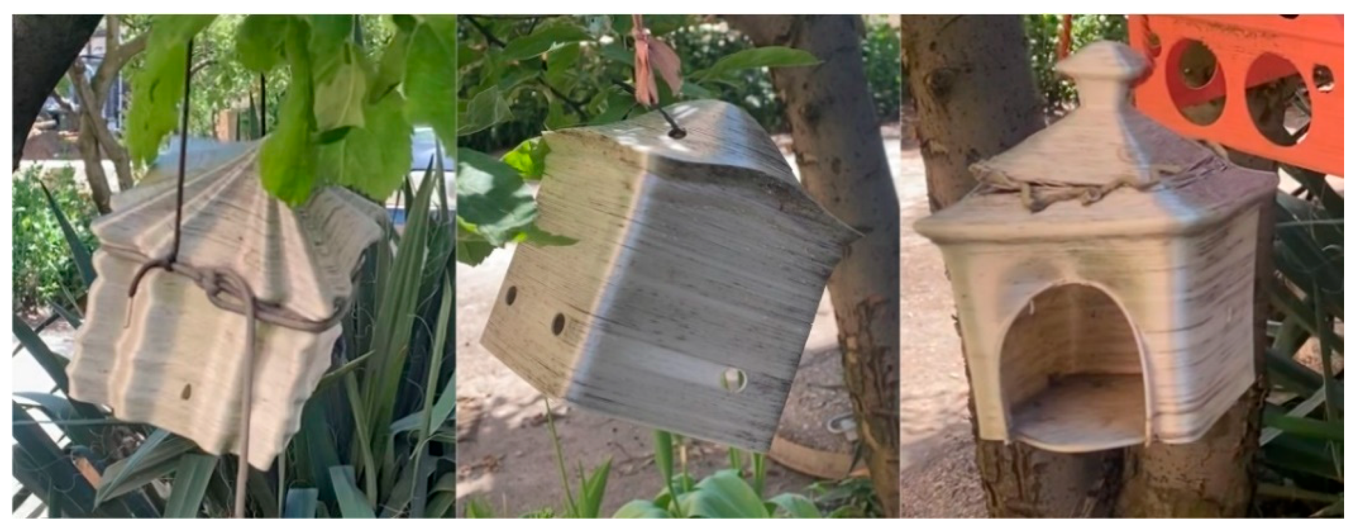 Preprints 182572 g003