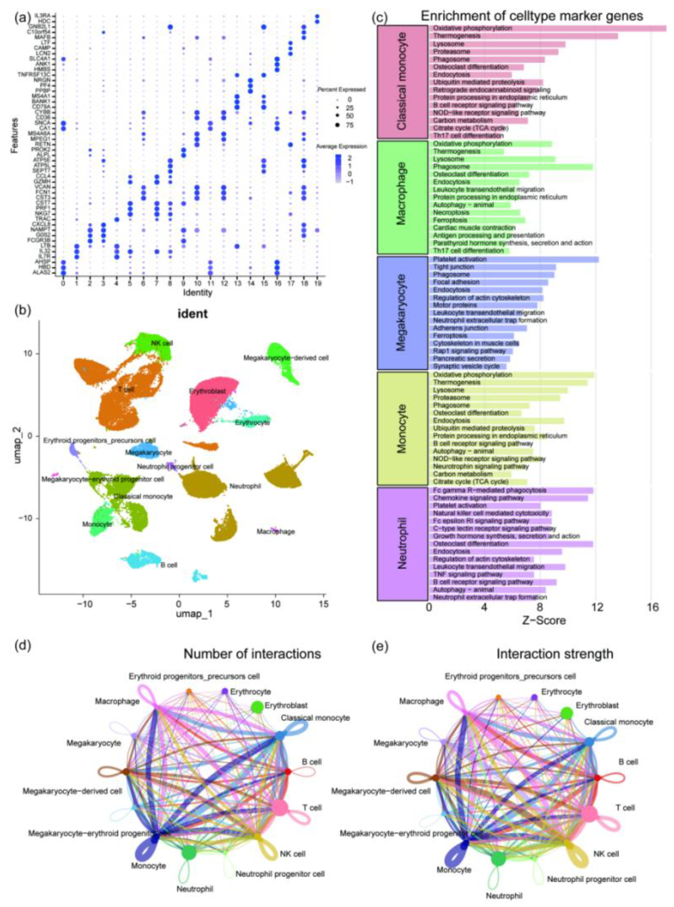 Preprints 190191 g004