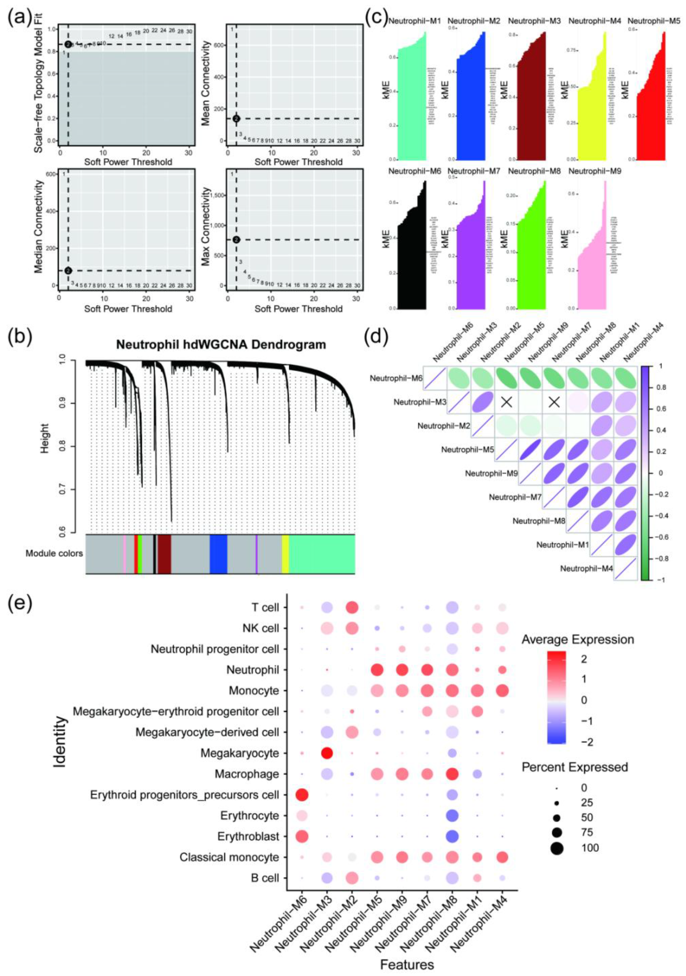 Preprints 190191 g005