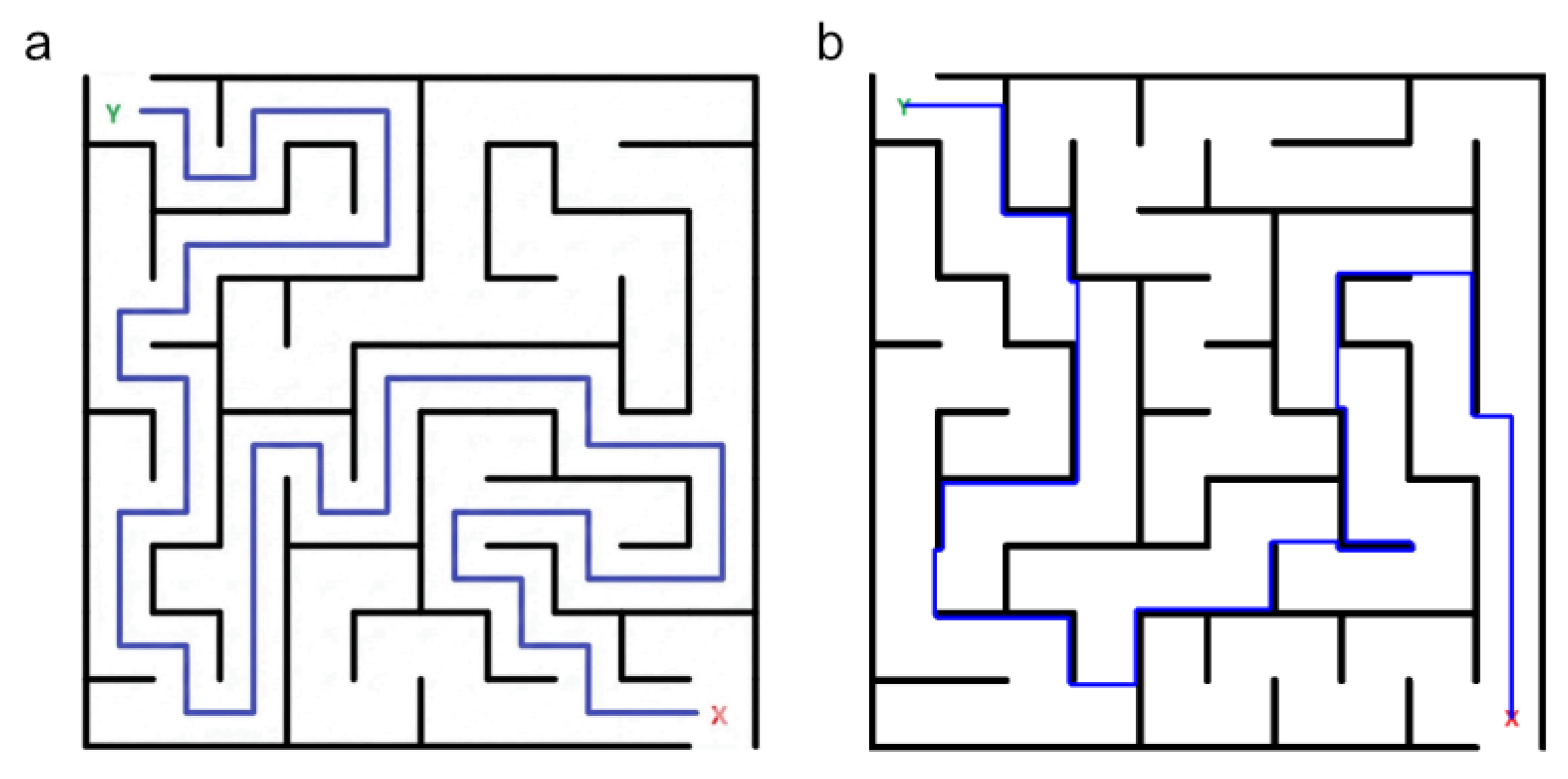 Preprints 229172 g002