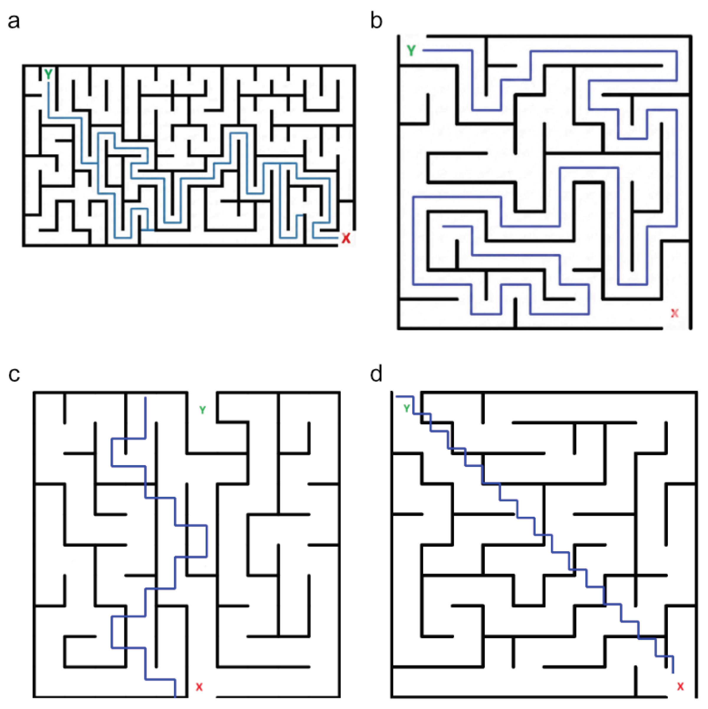 Preprints 229172 g003
