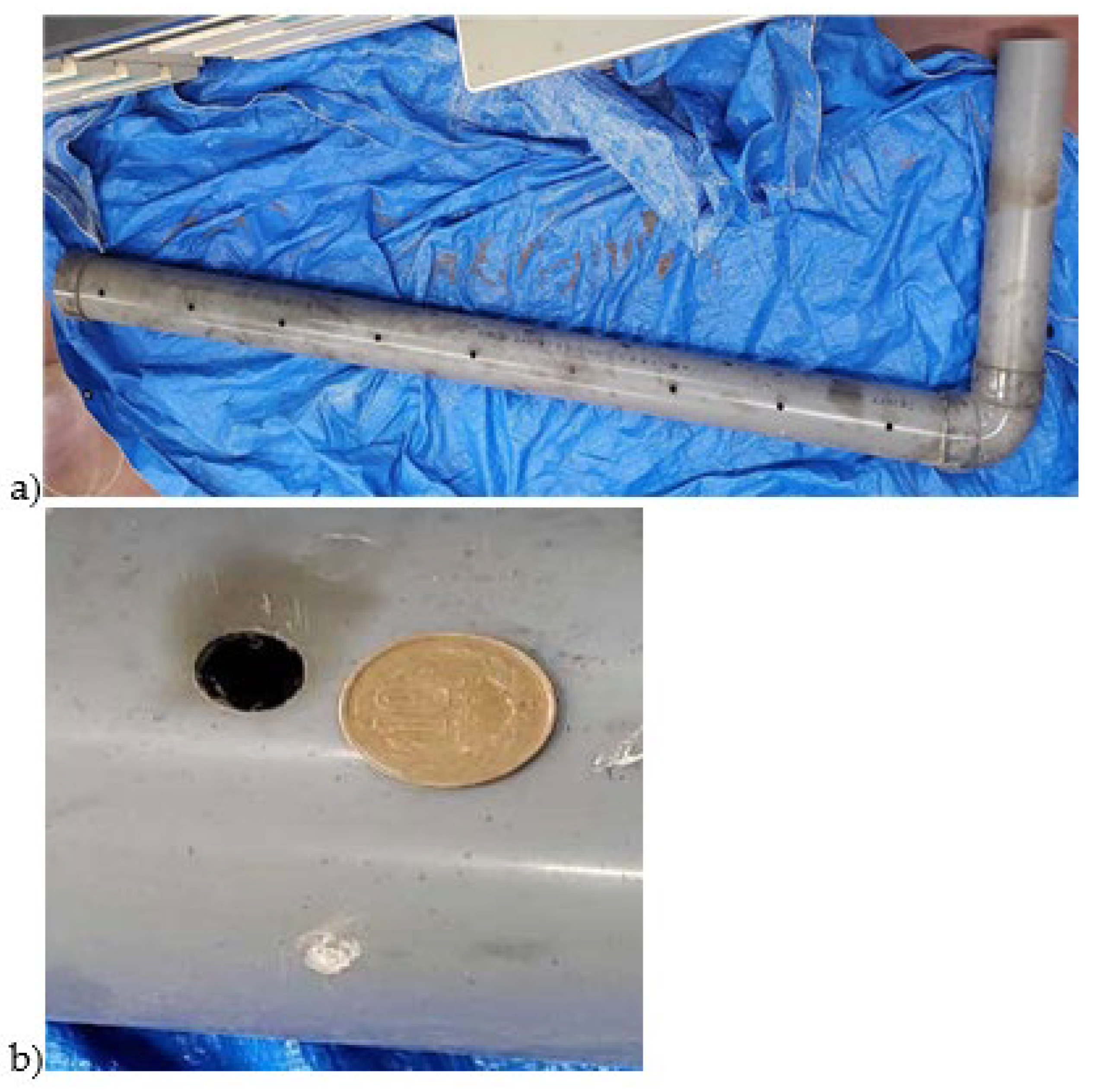 Preprints 143516 g001