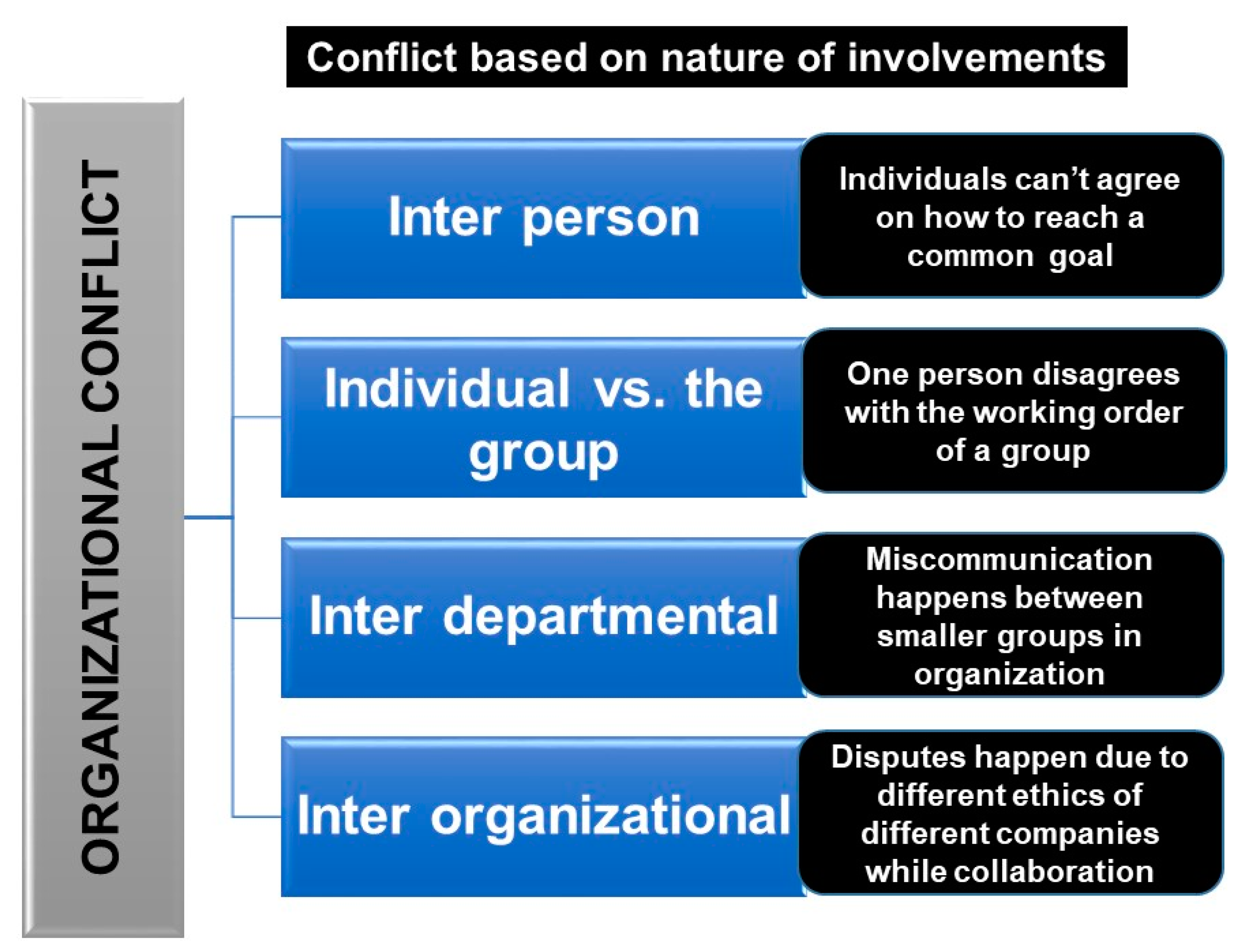 Preprints 156045 g003