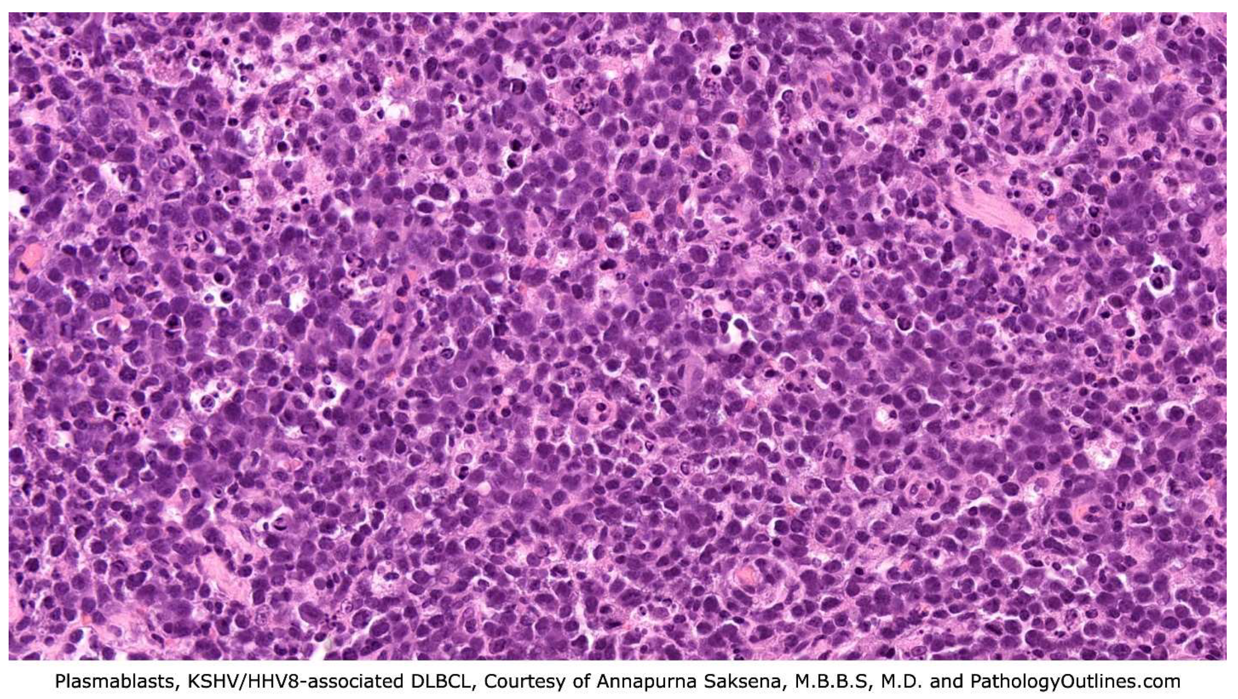 Preprints 156346 g003