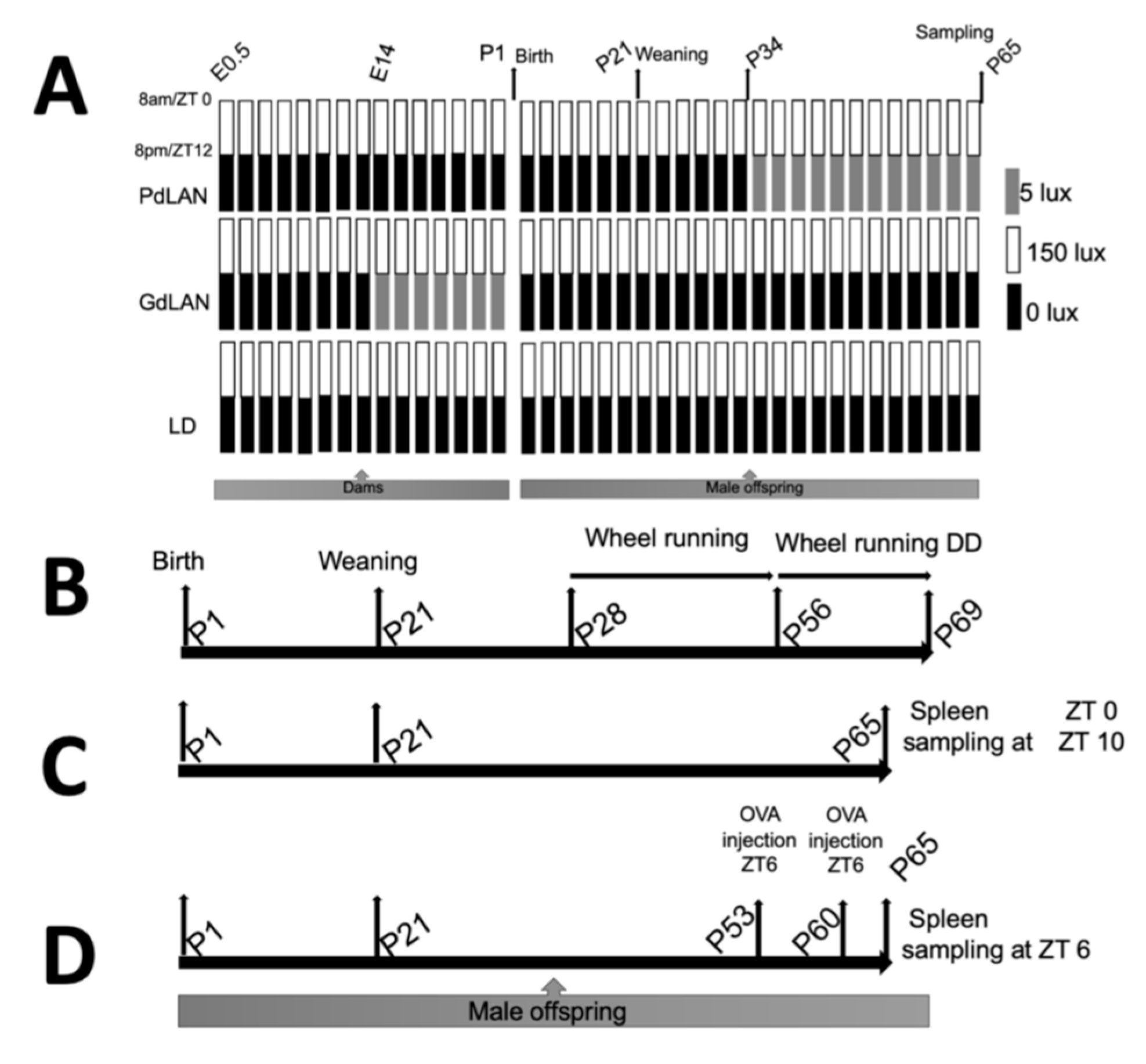 Preprints 206189 g001