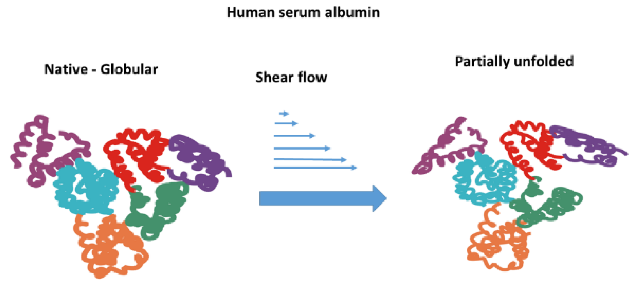 Preprints 166945 g001