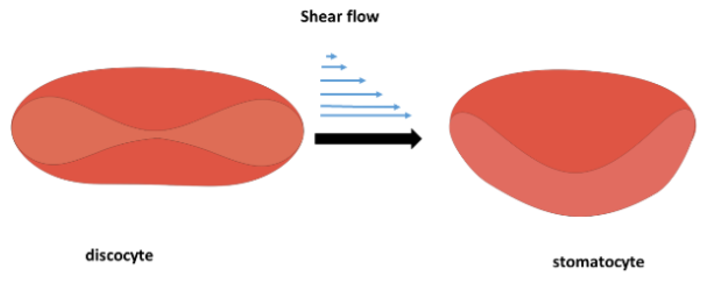 Preprints 166945 g002