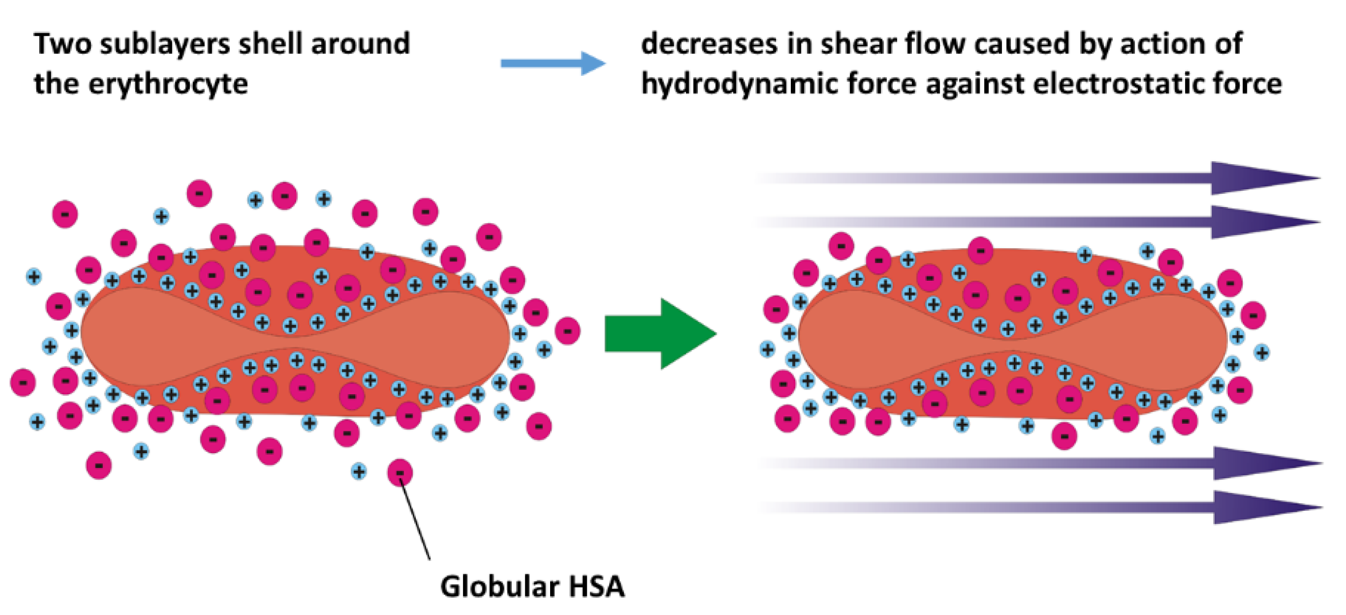 Preprints 166945 g003