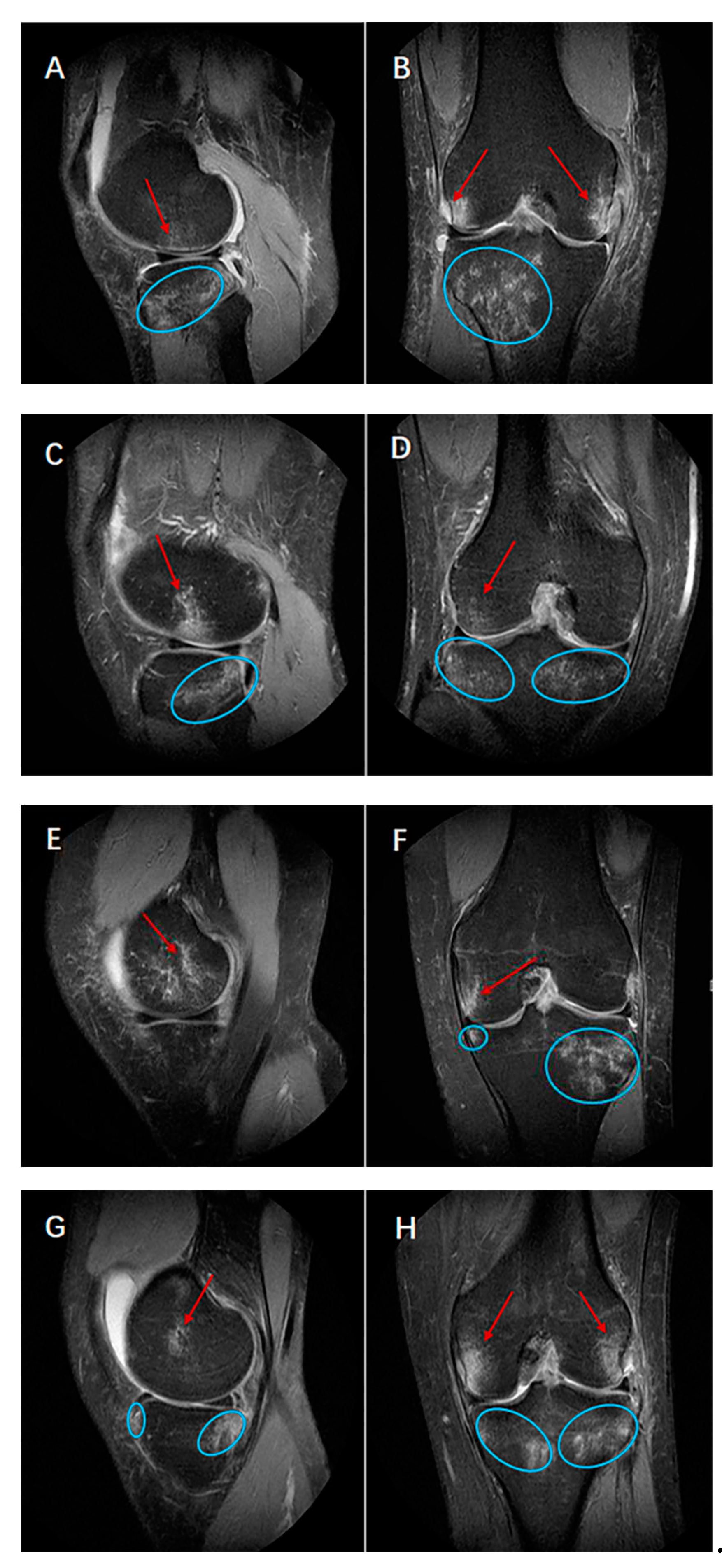 Preprints 85444 g003