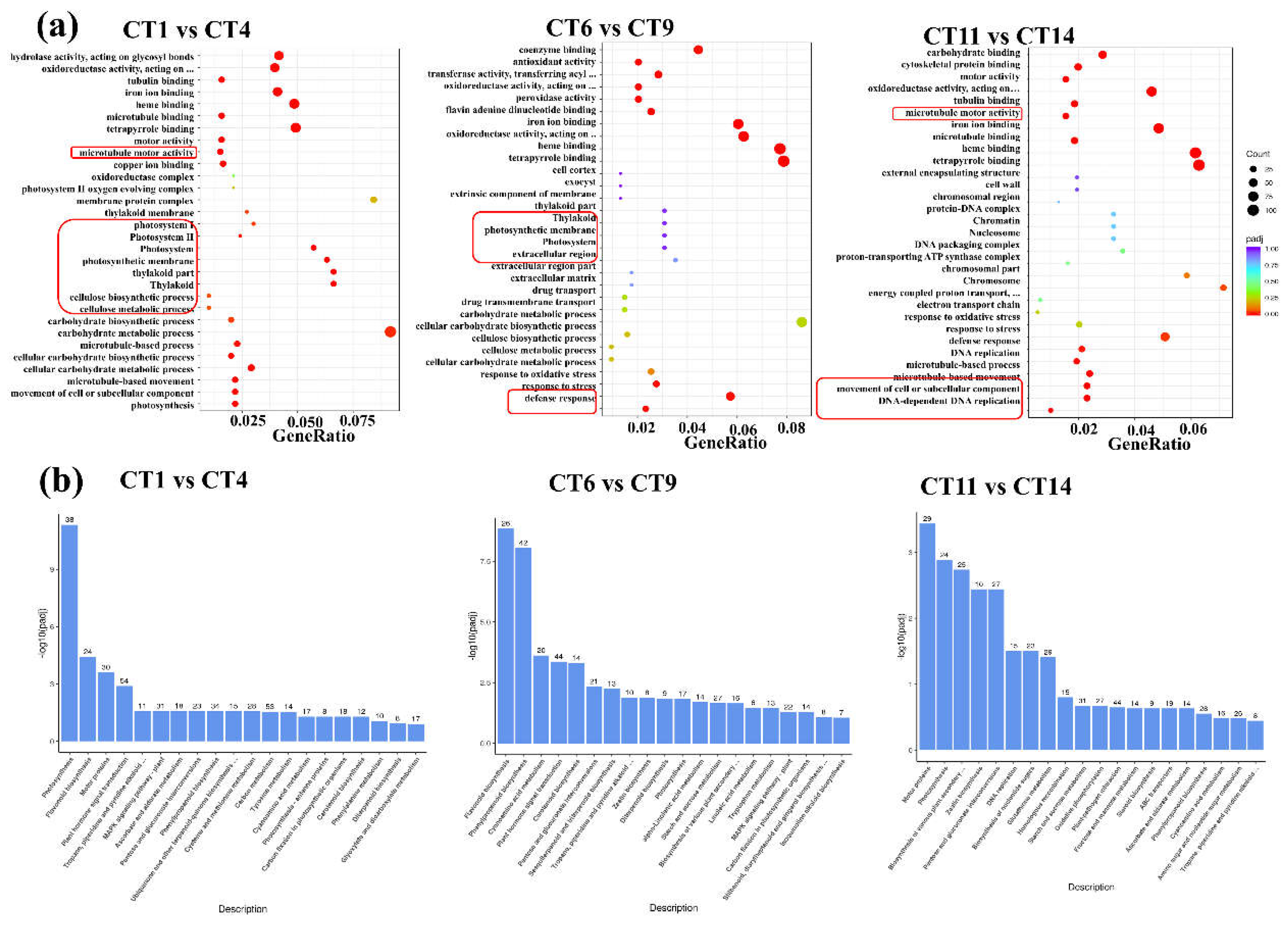 Preprints 148826 g004
