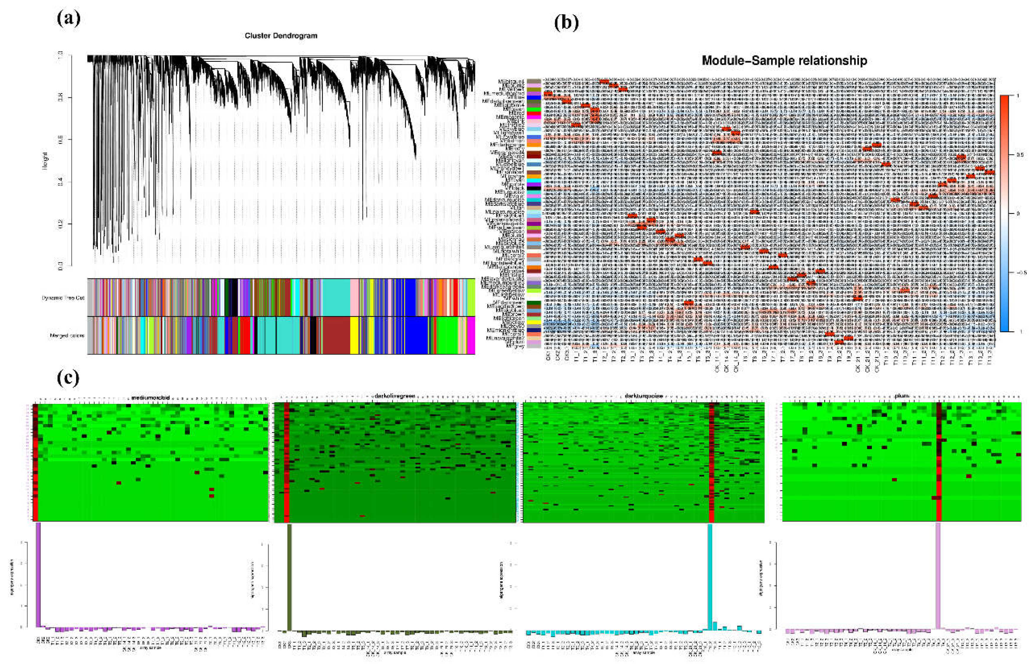 Preprints 148826 g006
