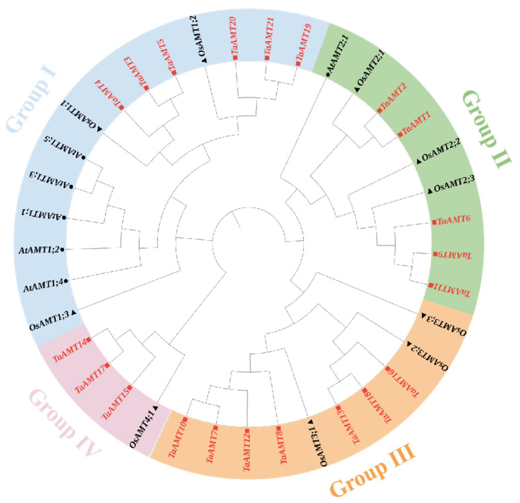 Preprints 185598 g001