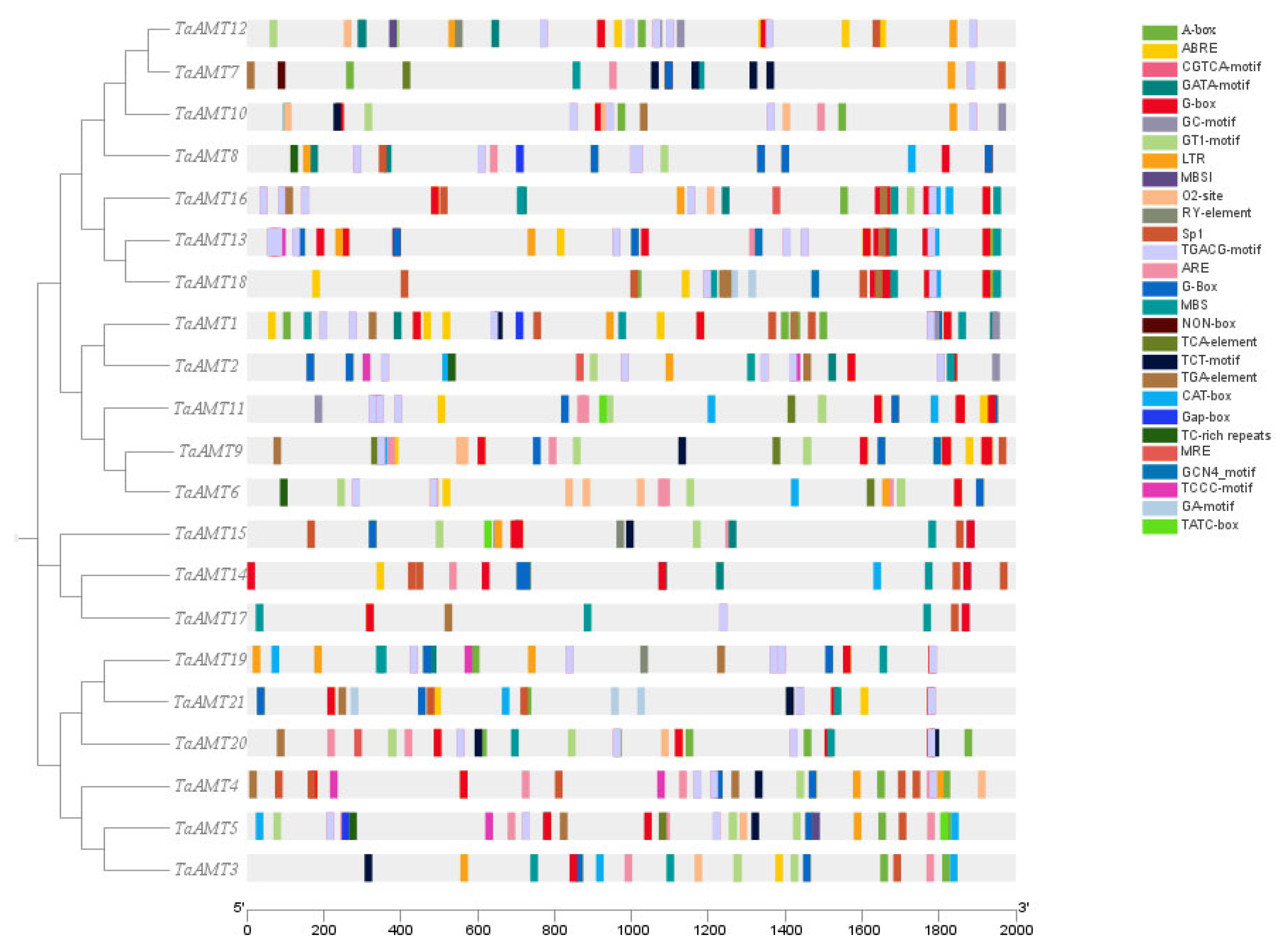 Preprints 185598 g006