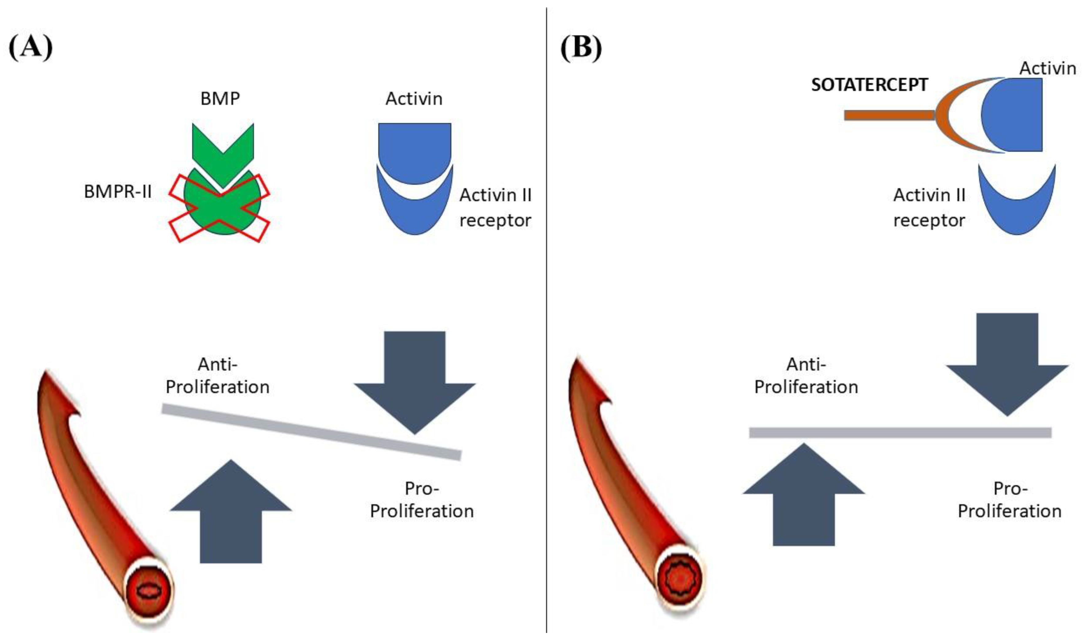 Preprints 146197 g002