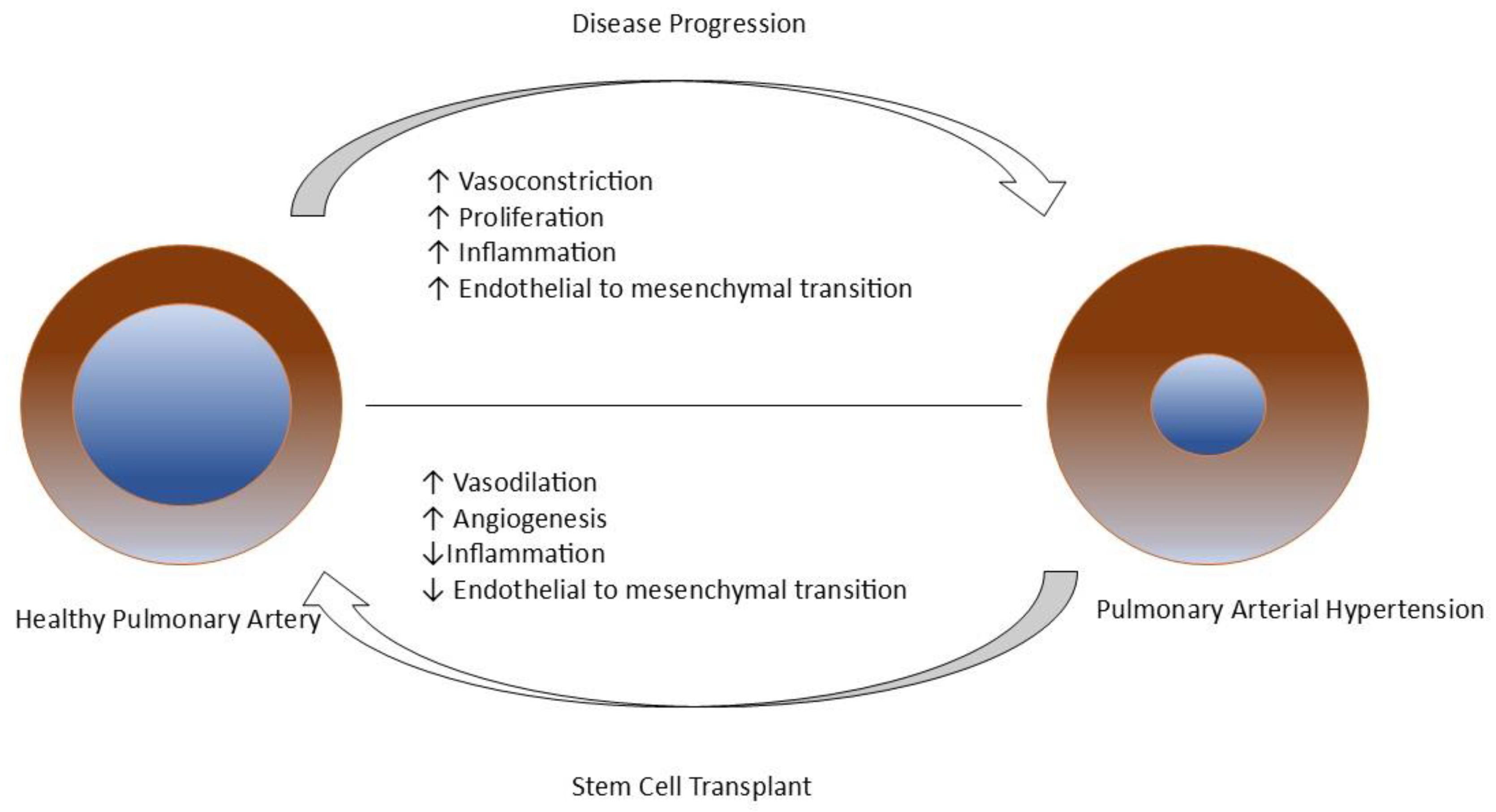 Preprints 146197 g004