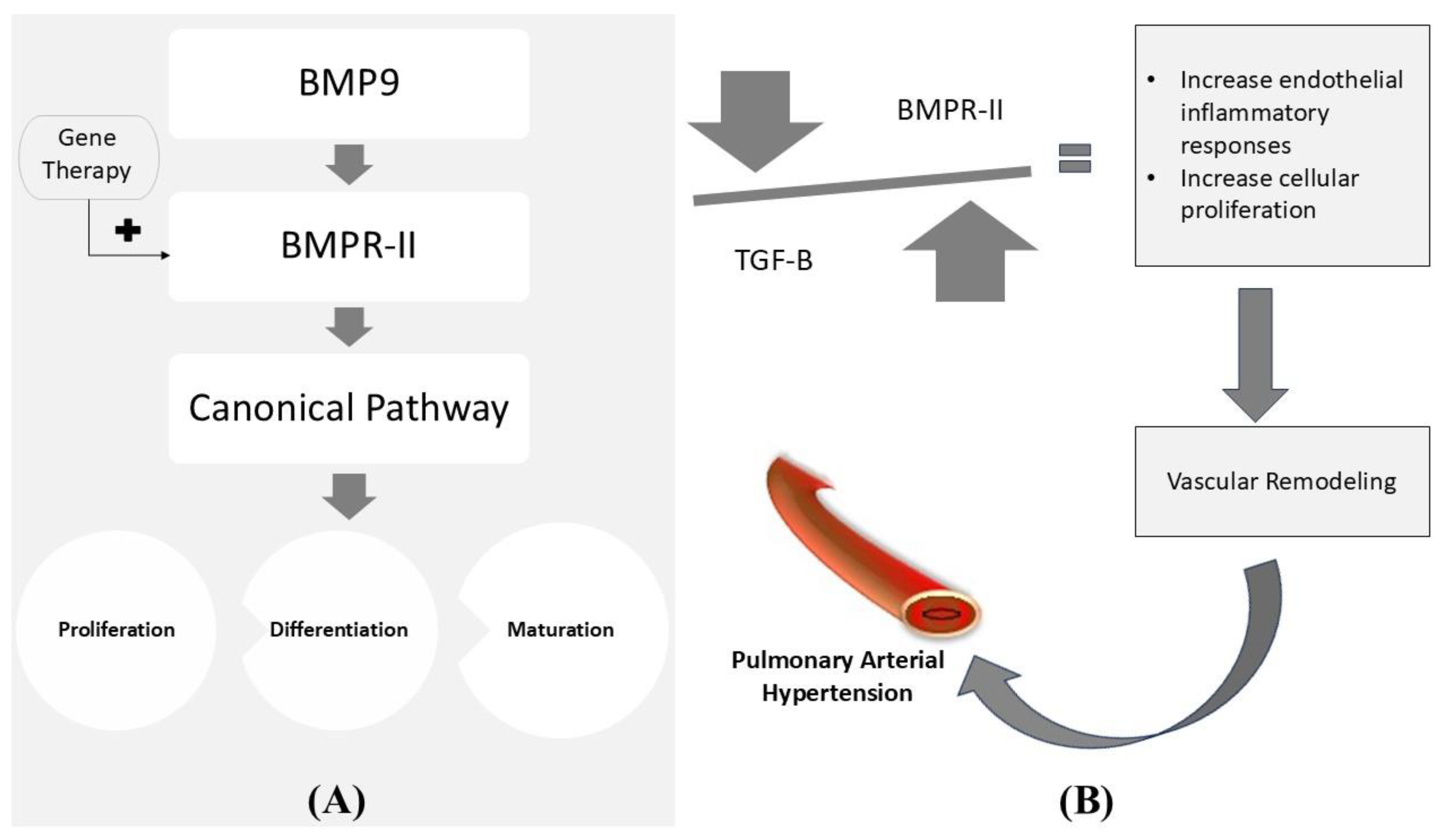 Preprints 146197 g005