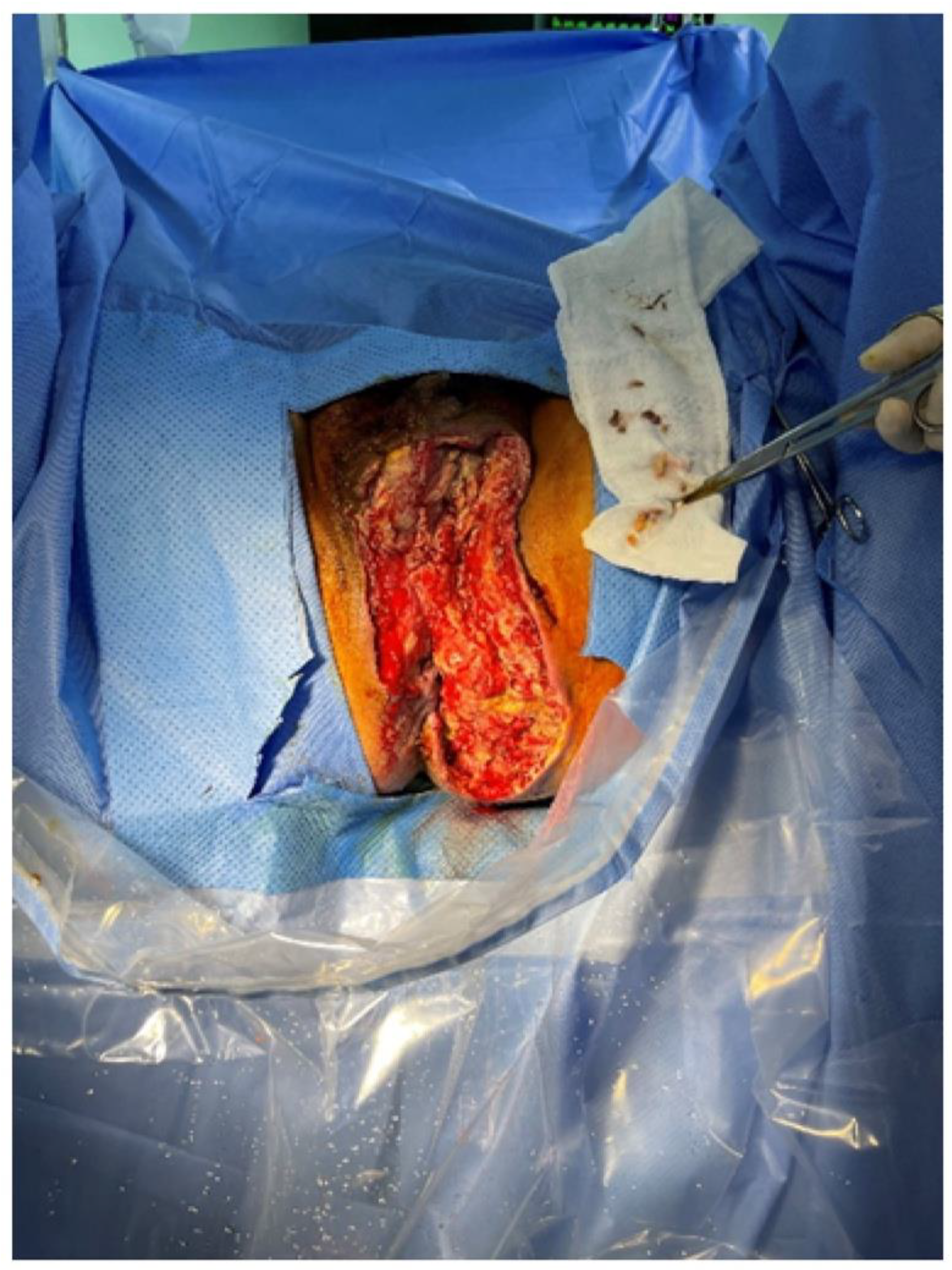 Preprints 184200 g002