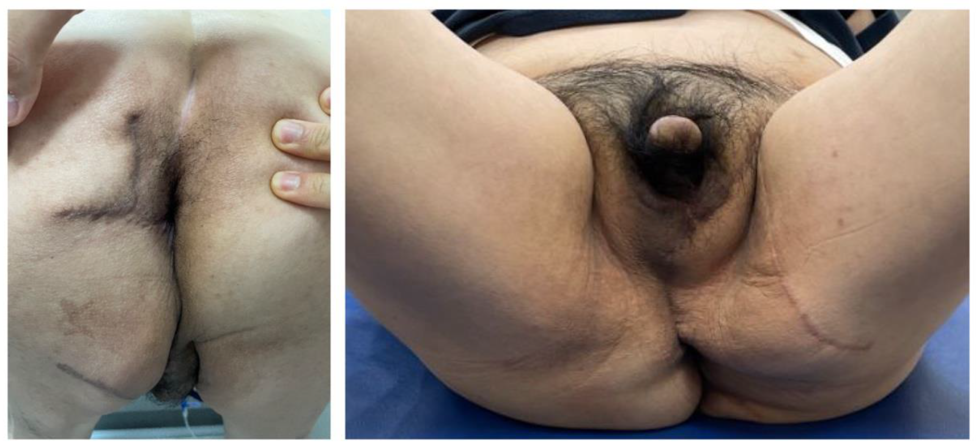 Preprints 184200 g004