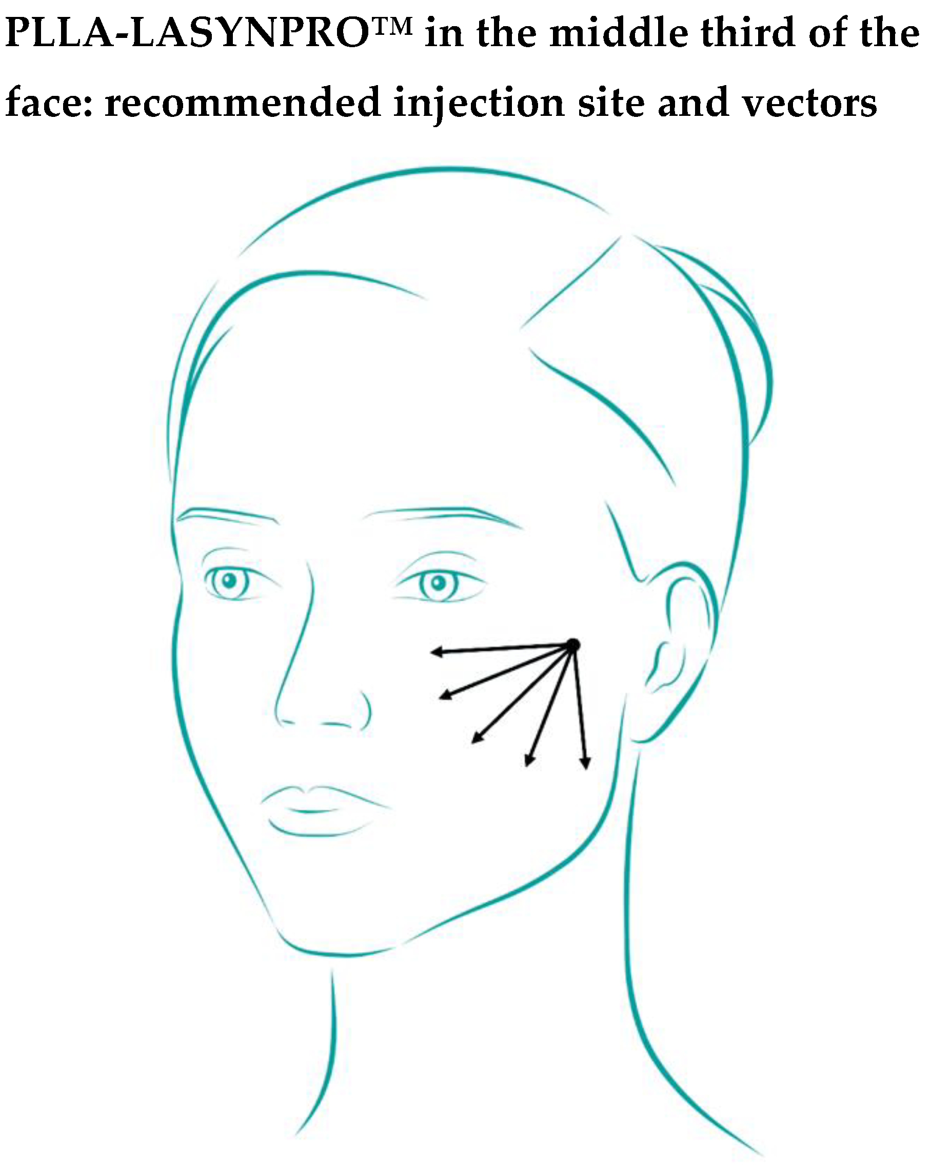 Preprints 154619 g001