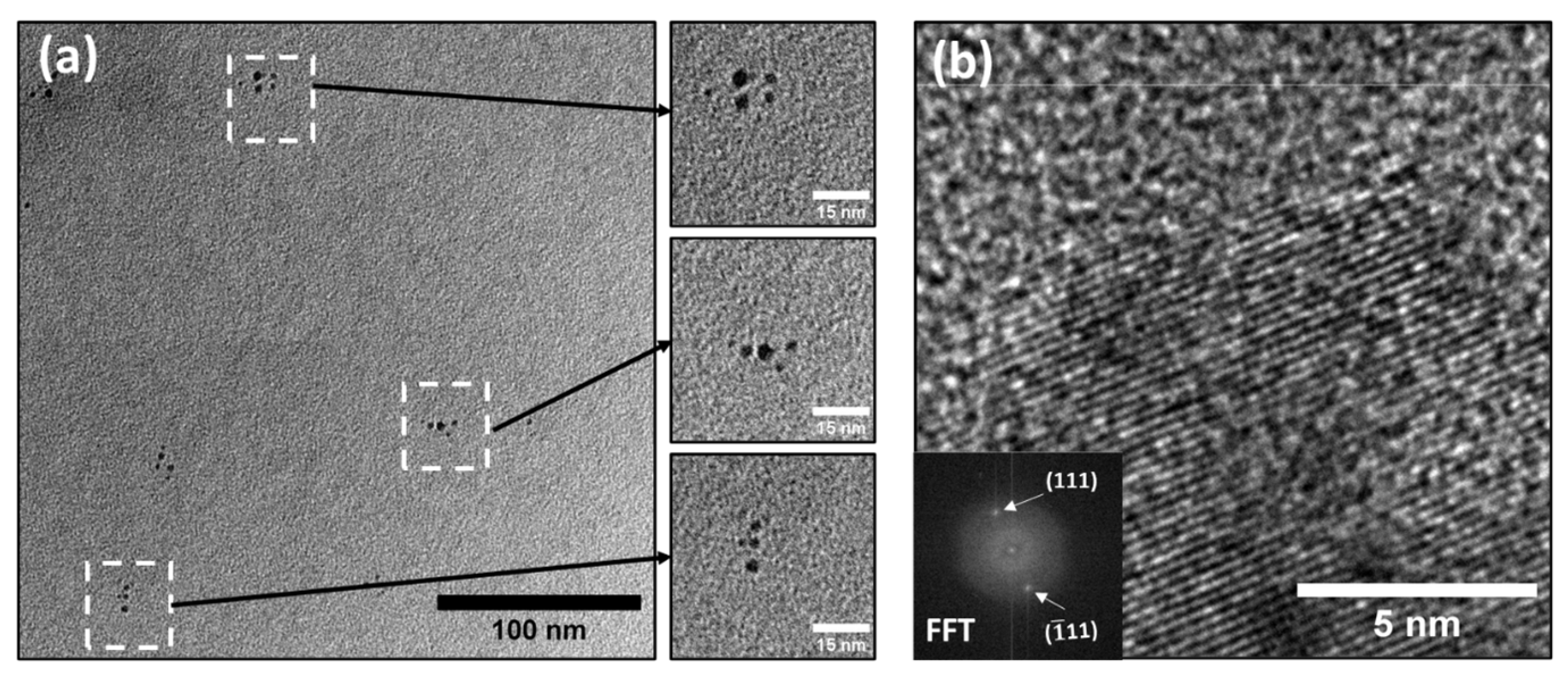 Preprints 107226 g004
