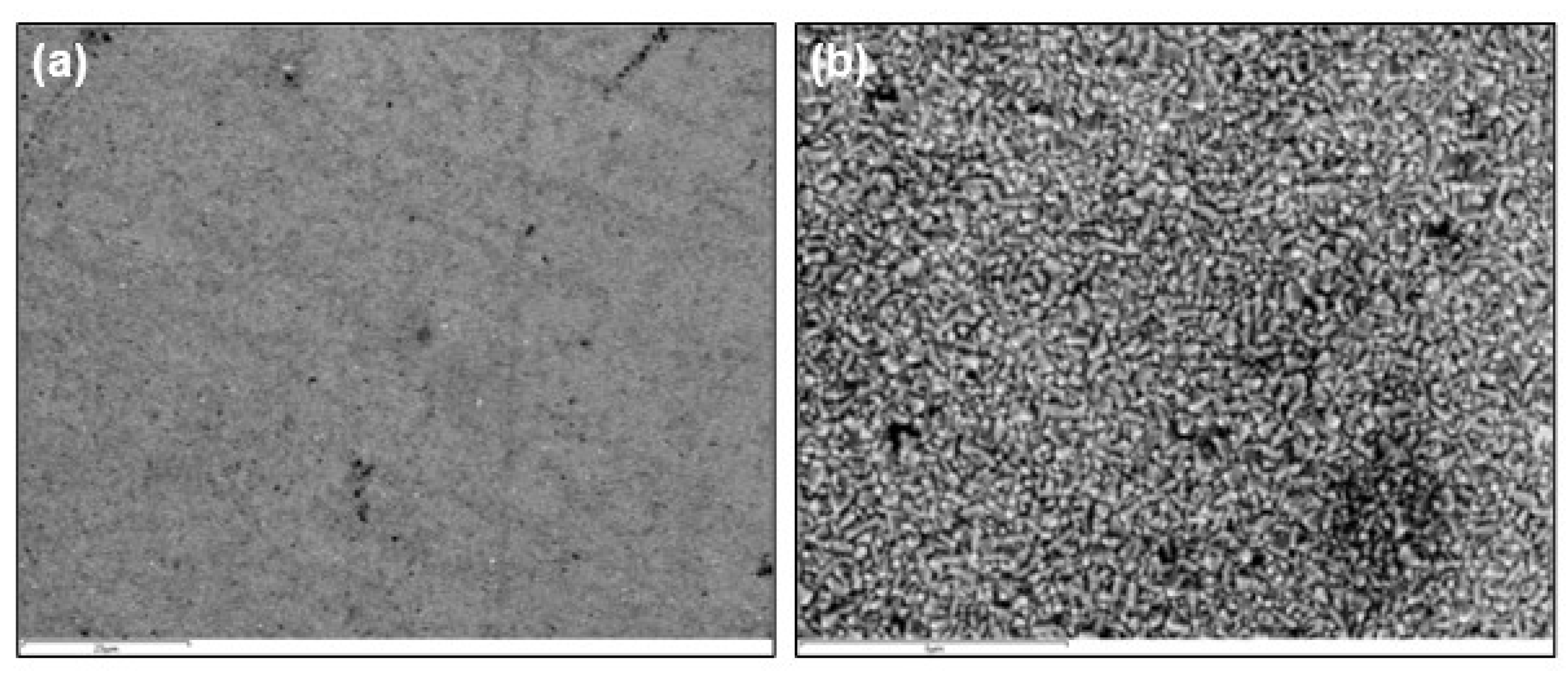 Preprints 107226 g005