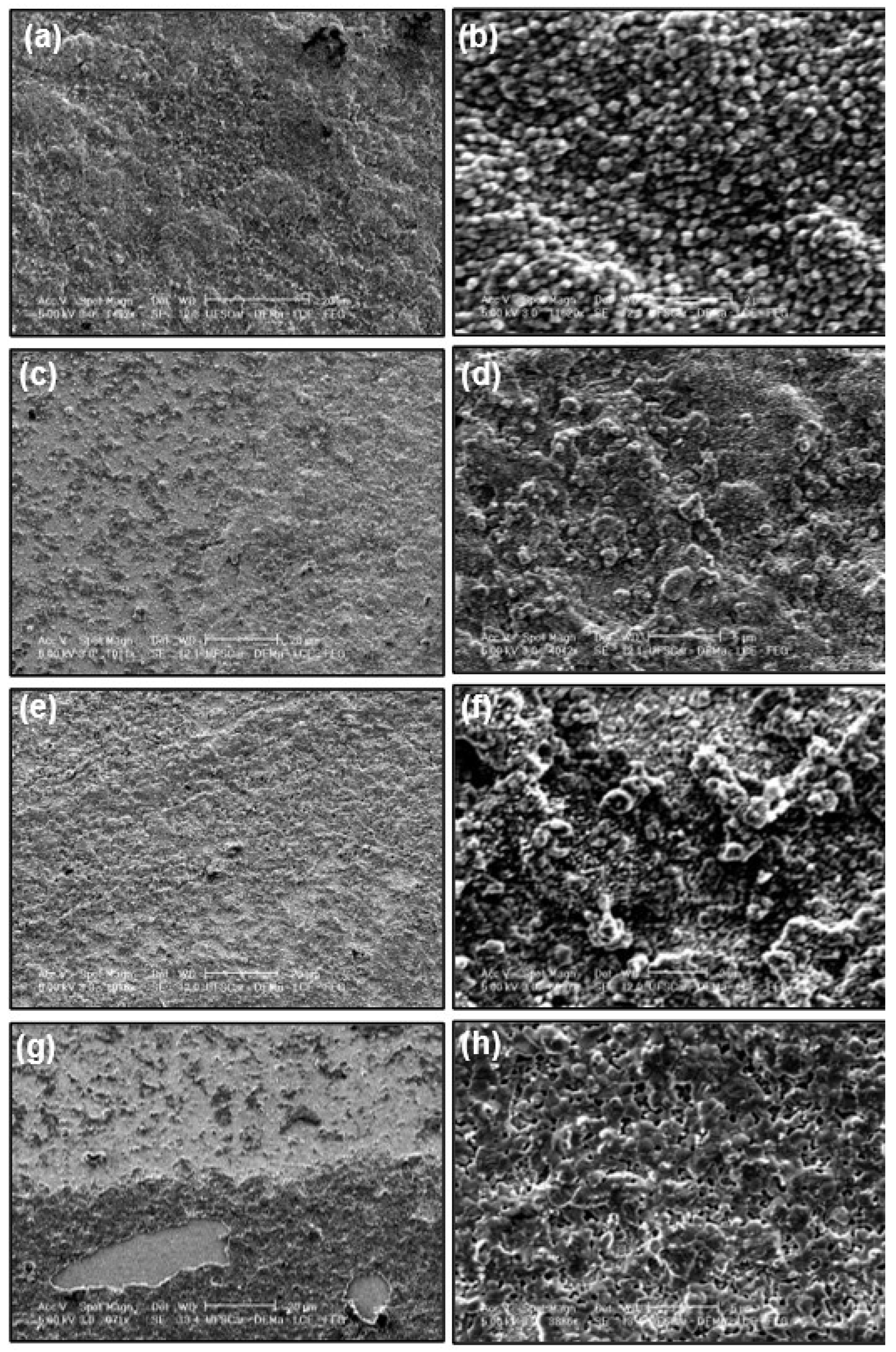 Preprints 107226 g006
