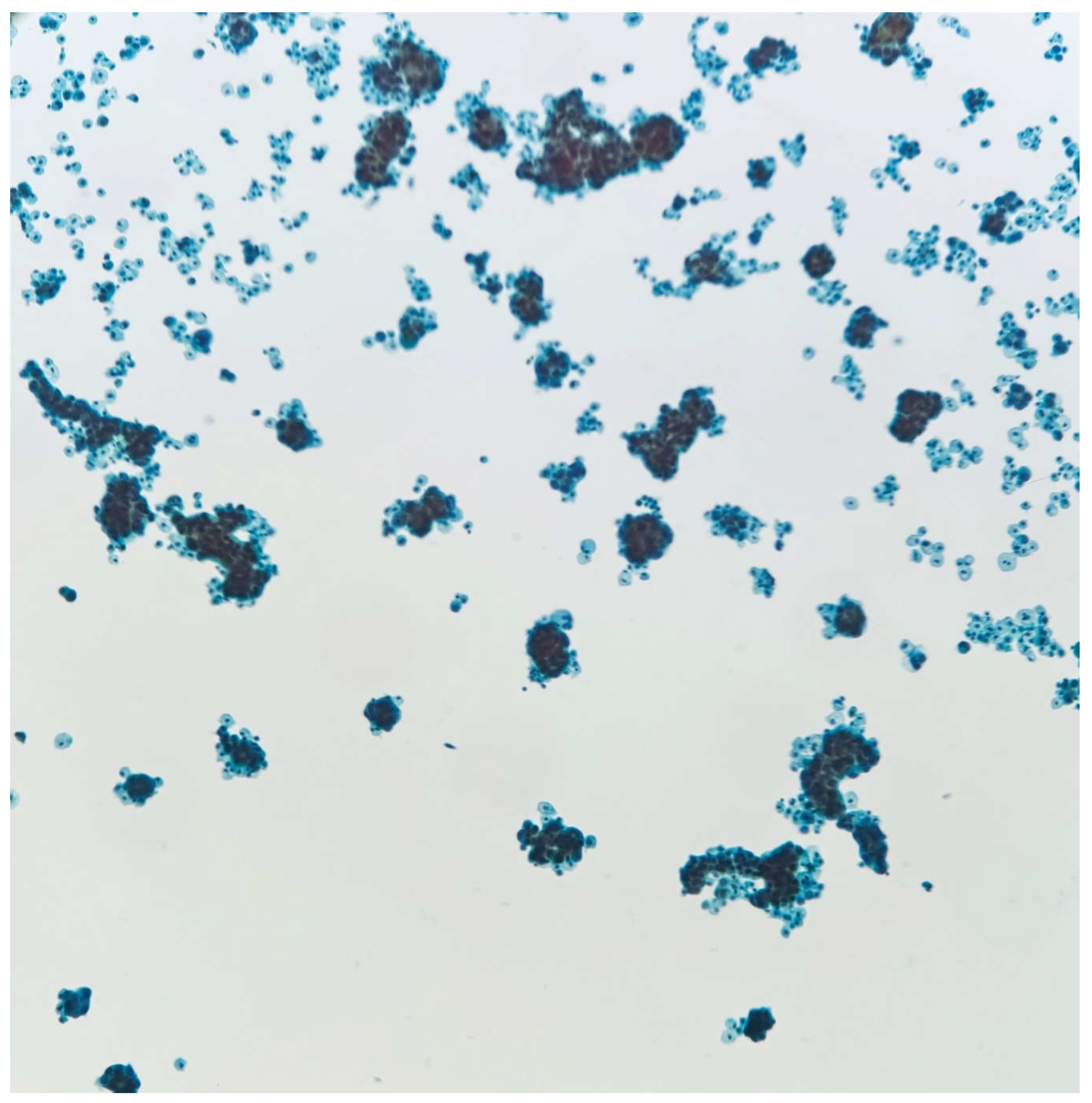 Preprints 137561 g001