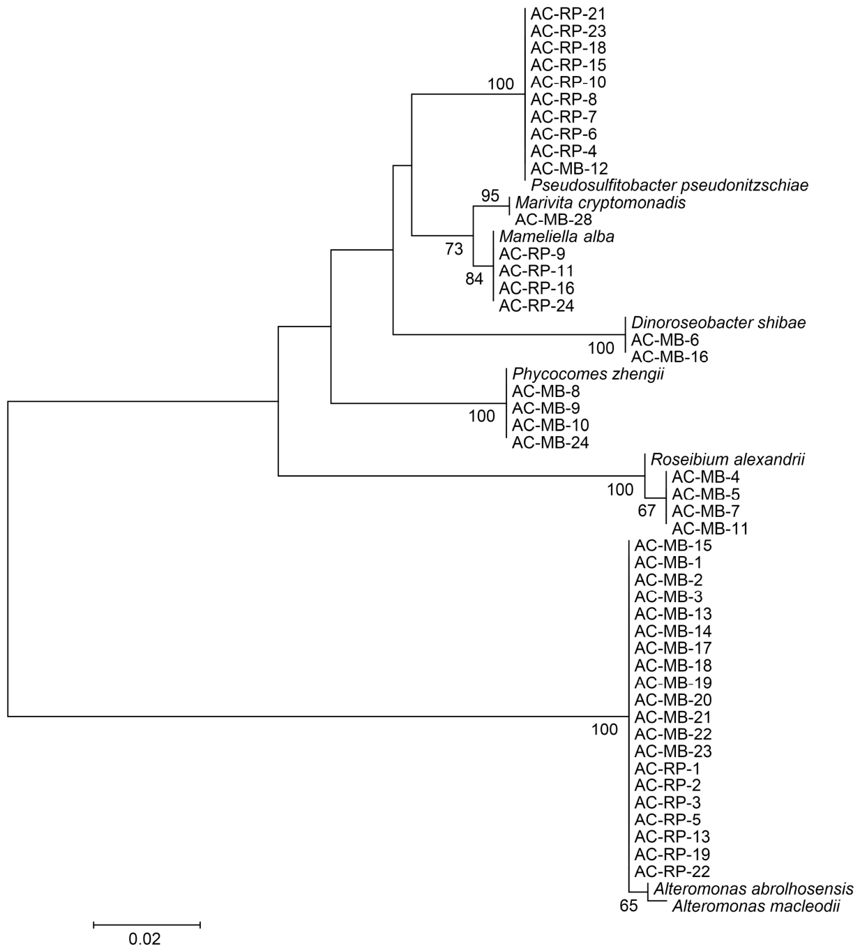 Preprints 227334 g003 Preprints 227334 g003