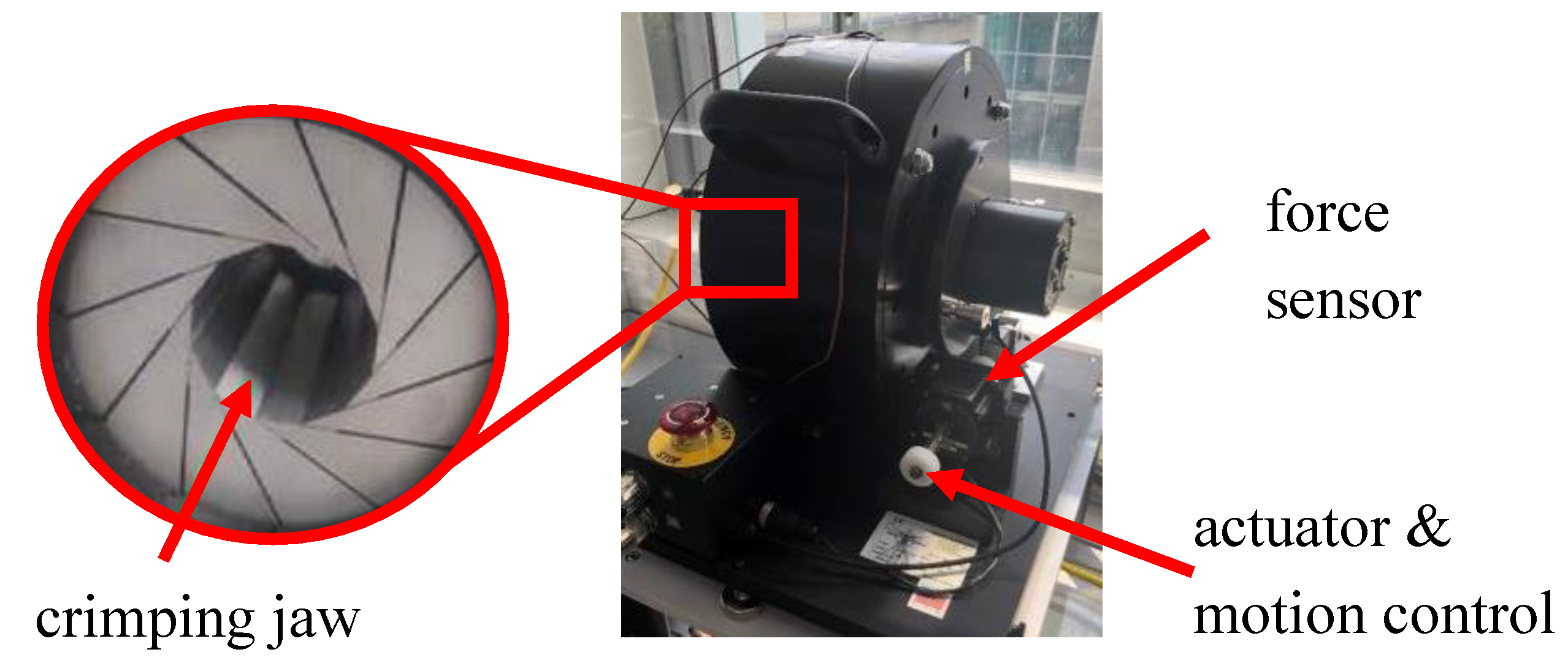 Preprints 140565 g002