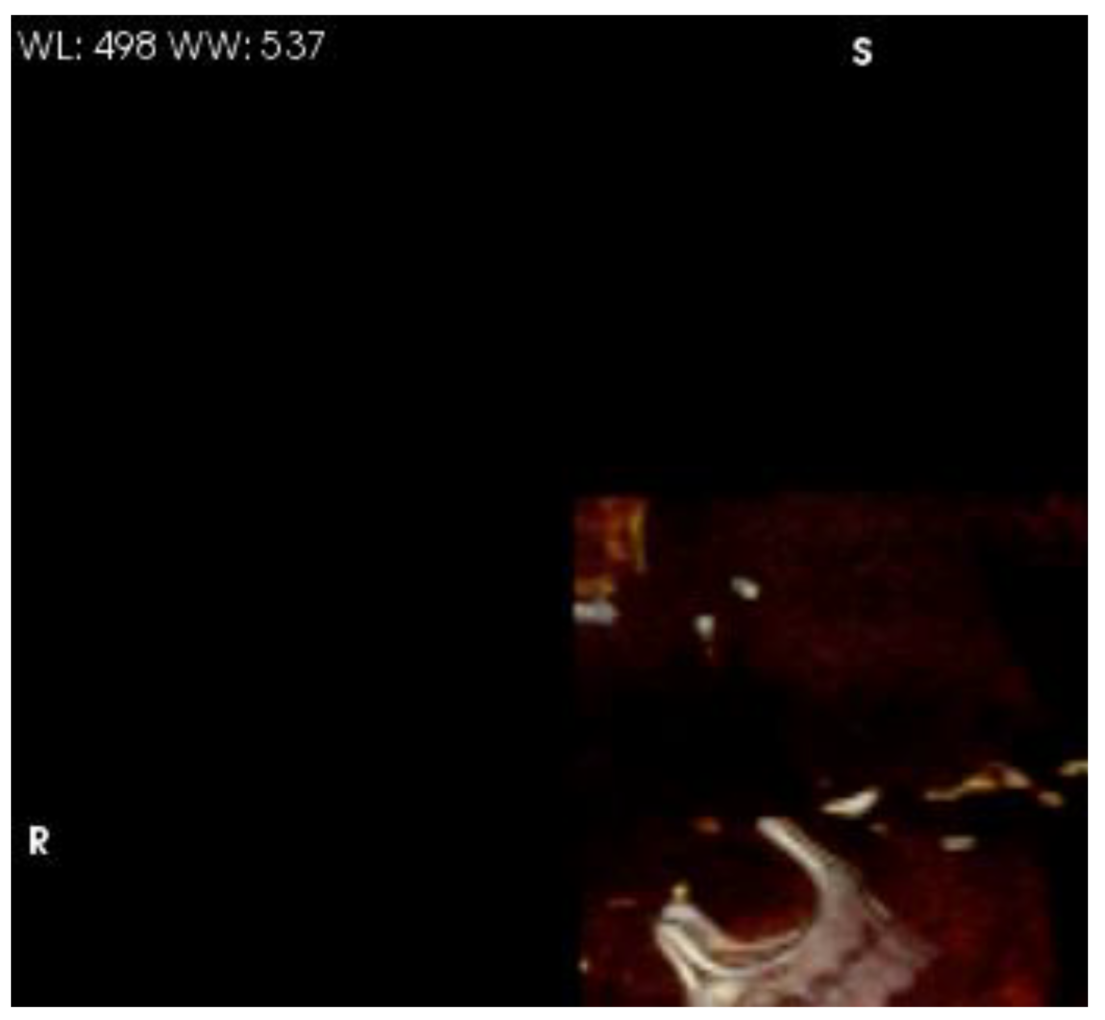 Preprints 140565 g004