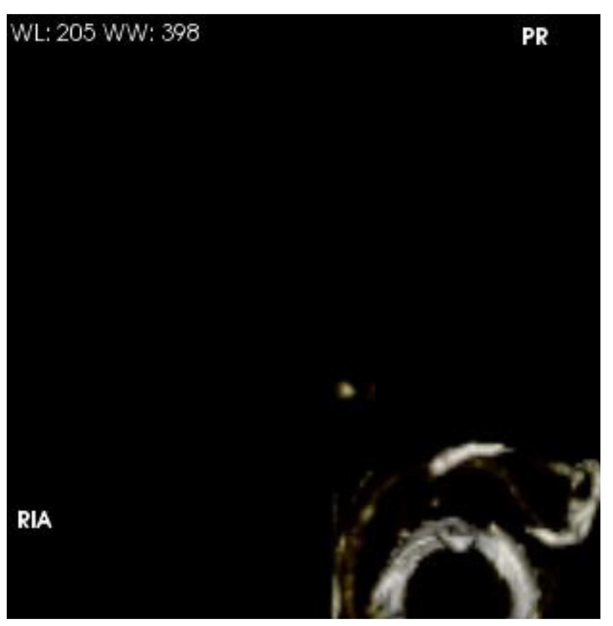 Preprints 140565 g005