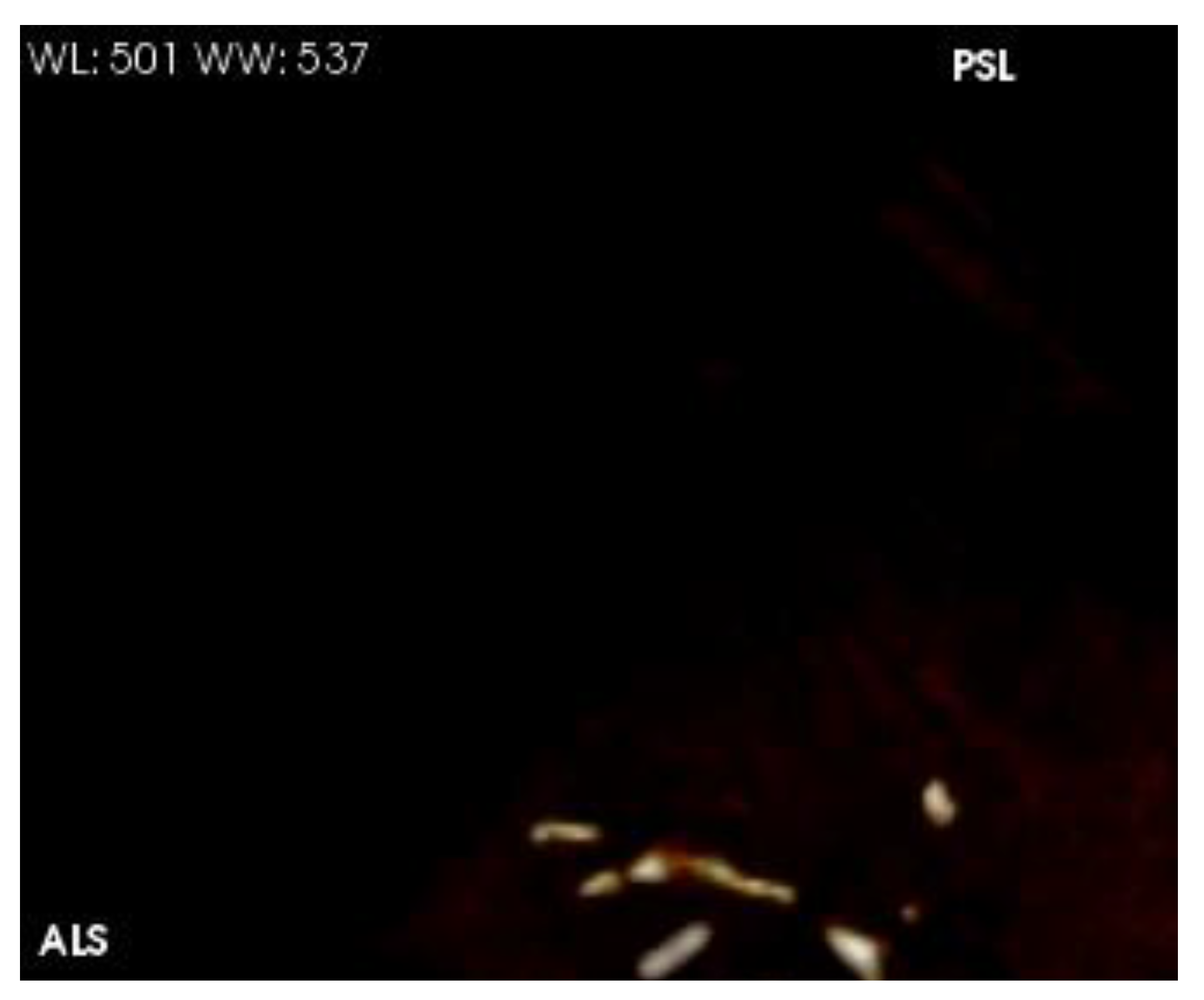 Preprints 140565 g006