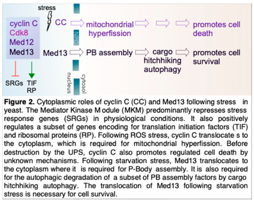 Preprints 151920 i002