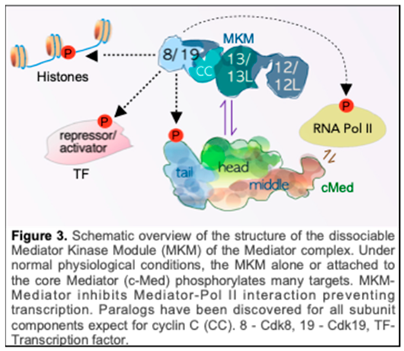 Preprints 151920 i003