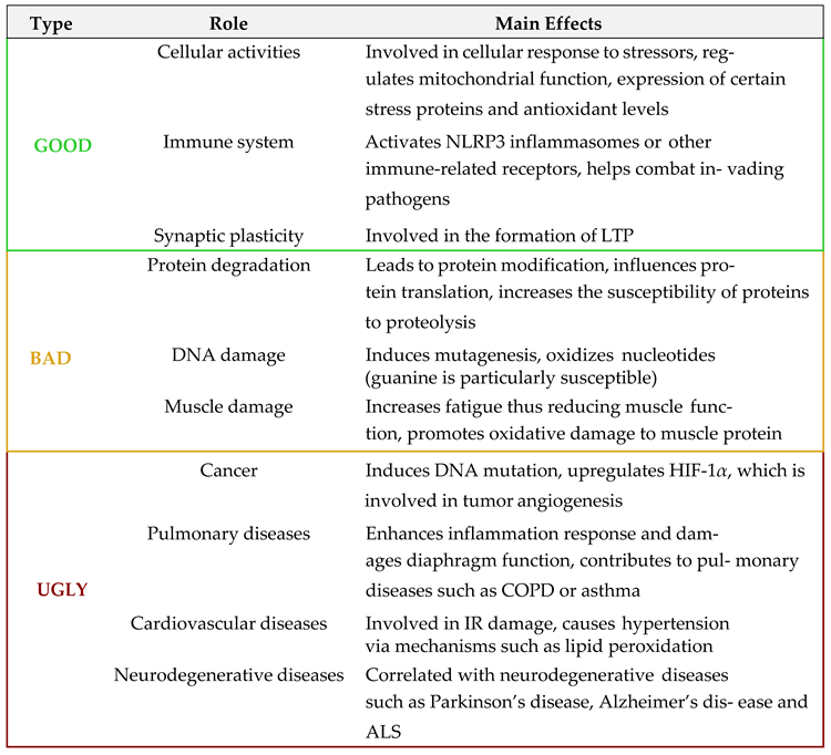 Preprints 161264 i001