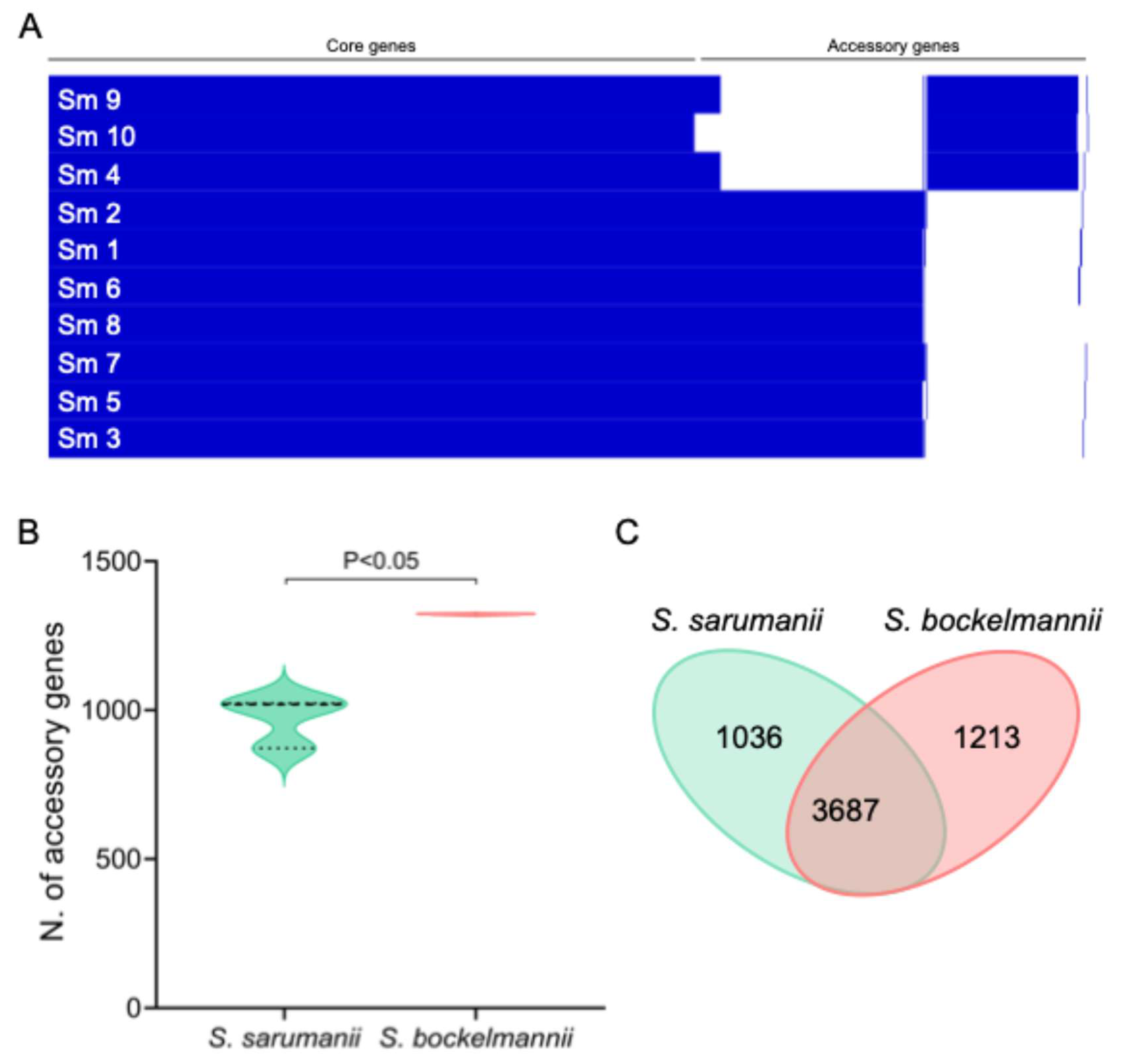 Preprints 228175 g004 Preprints 228175 g004