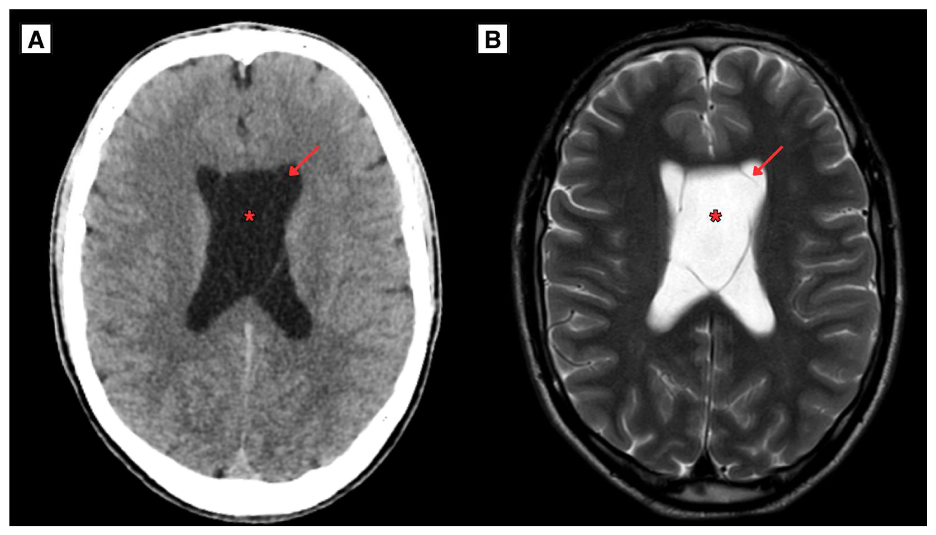 Preprints 156265 g001